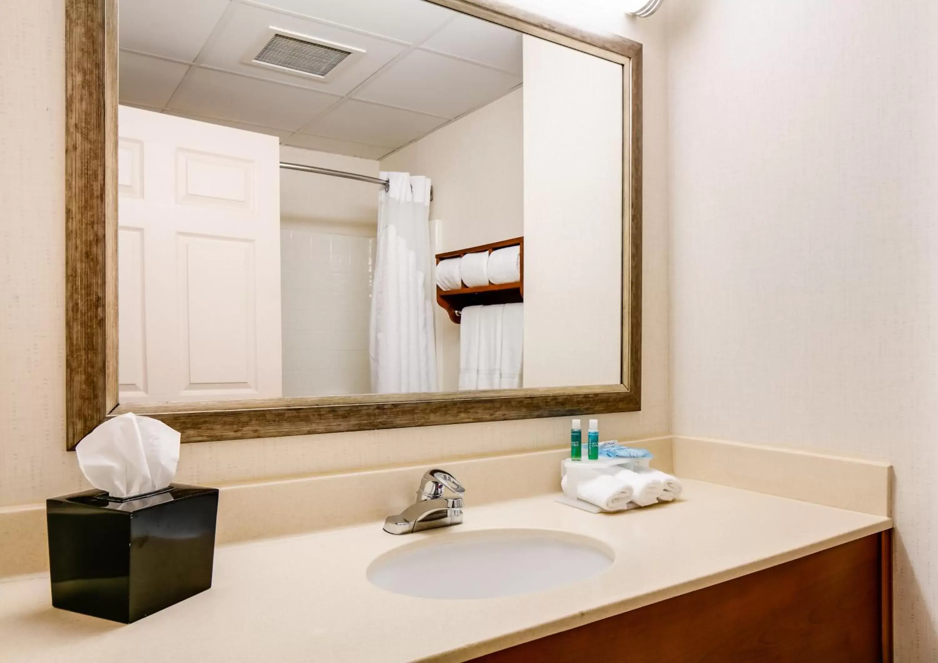 Bathroom in Holiday Inn Express Hotel & Suites Coralville, an IHG Hotel