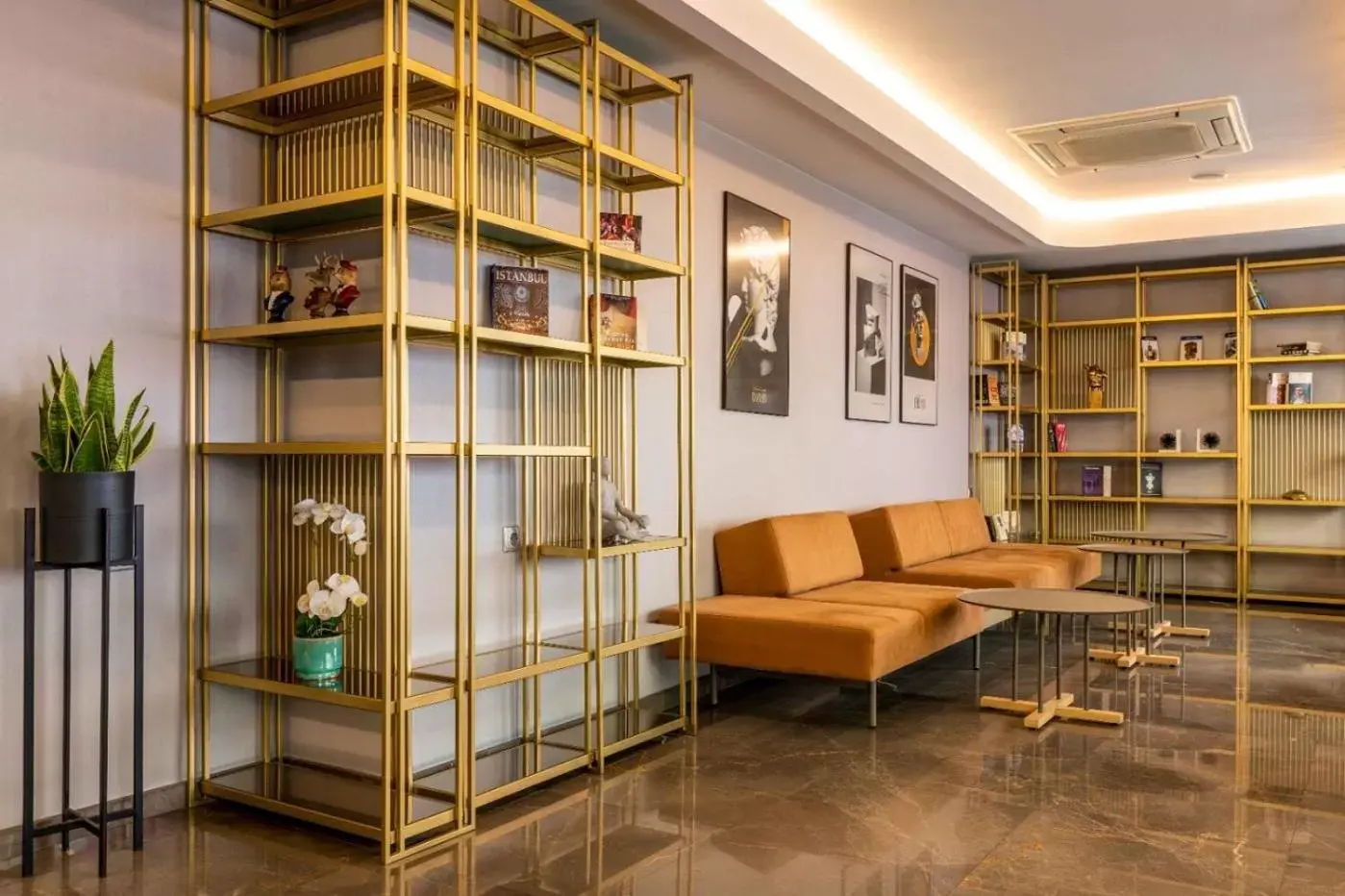 Coffee/tea facilities, Library in Hotel Venera