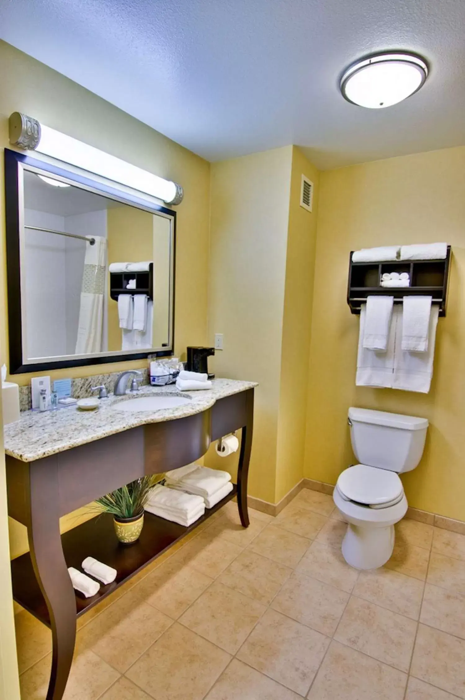 Bathroom in Hampton Inn & Suites Moreno Valley