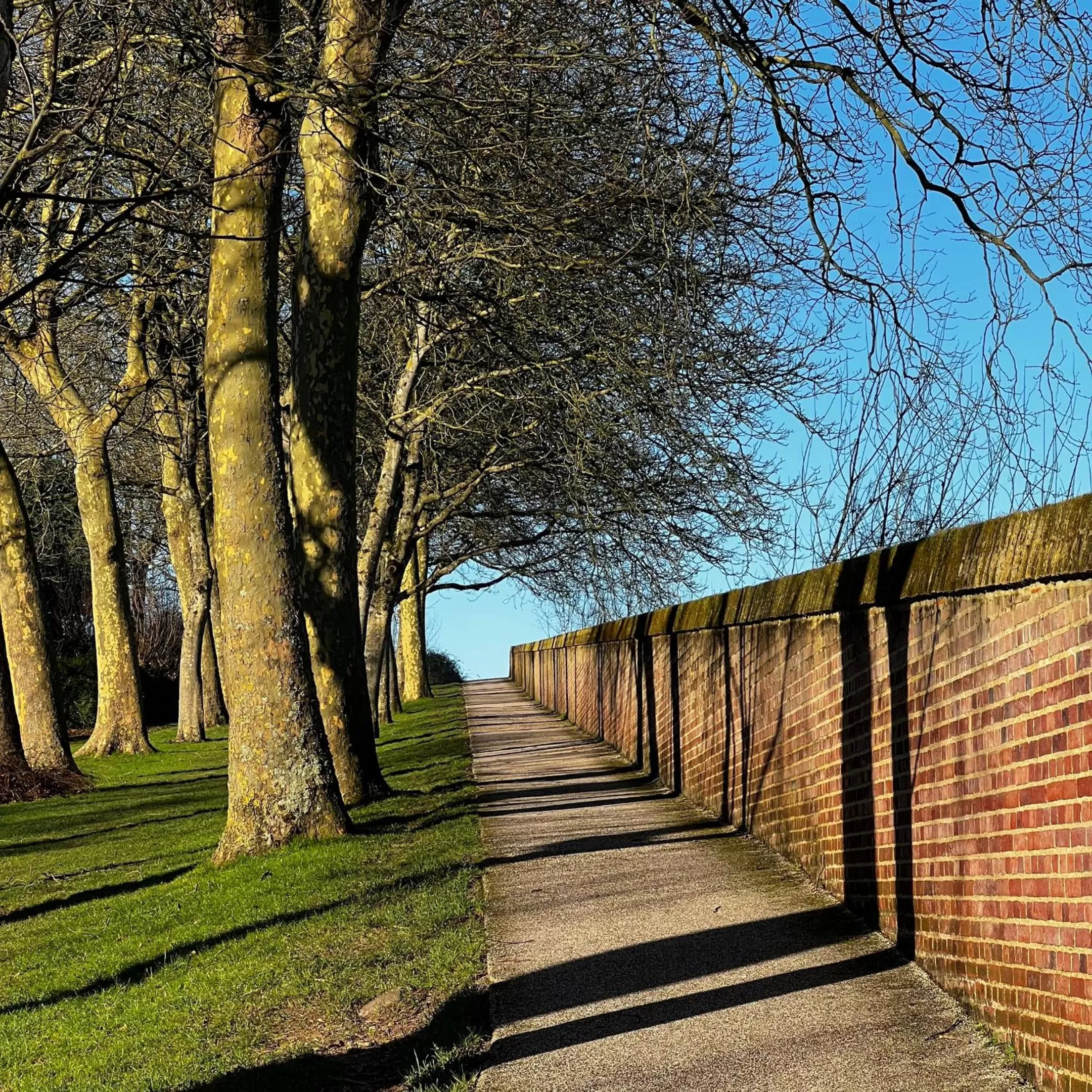 Natural landscape in Best Western Hôtel Hermitage