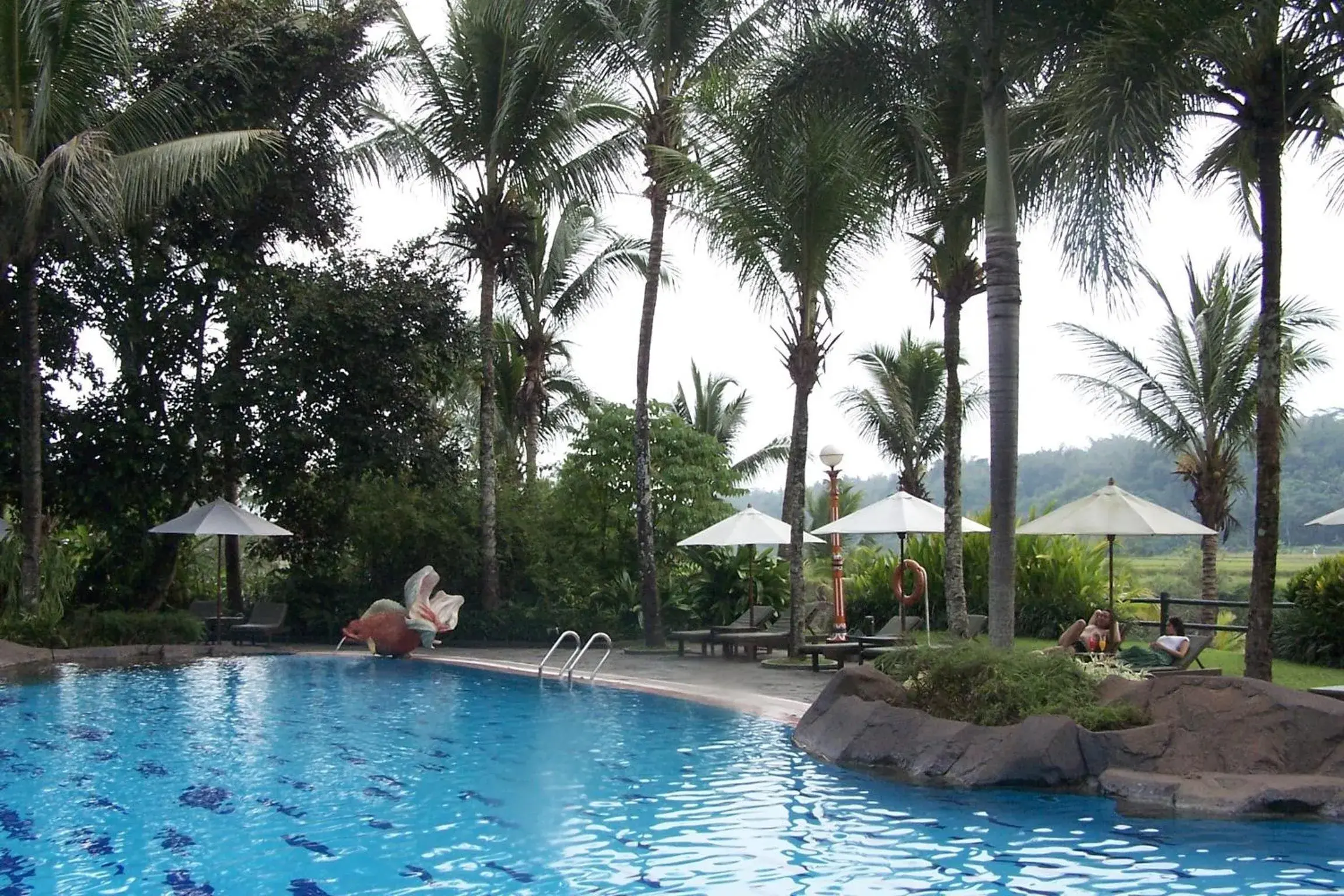 Swimming Pool in Hotel Puri Asri