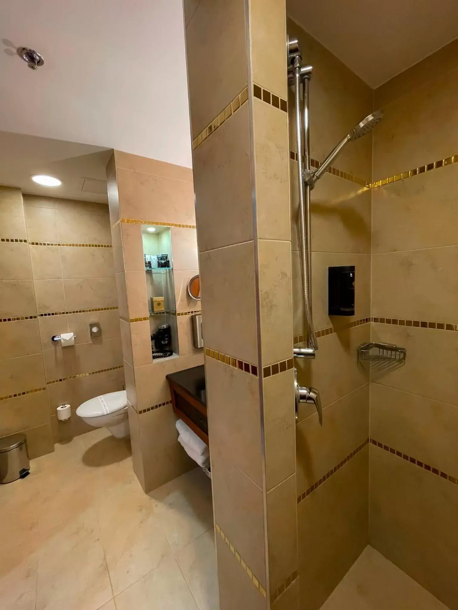 Shower, Bathroom in Hotel Divinus