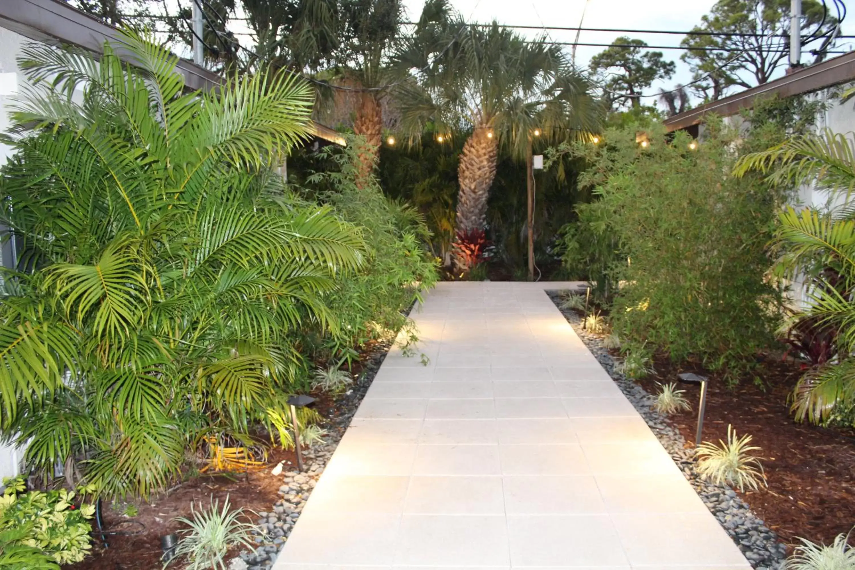 Garden in Siesta Key Palms Resort