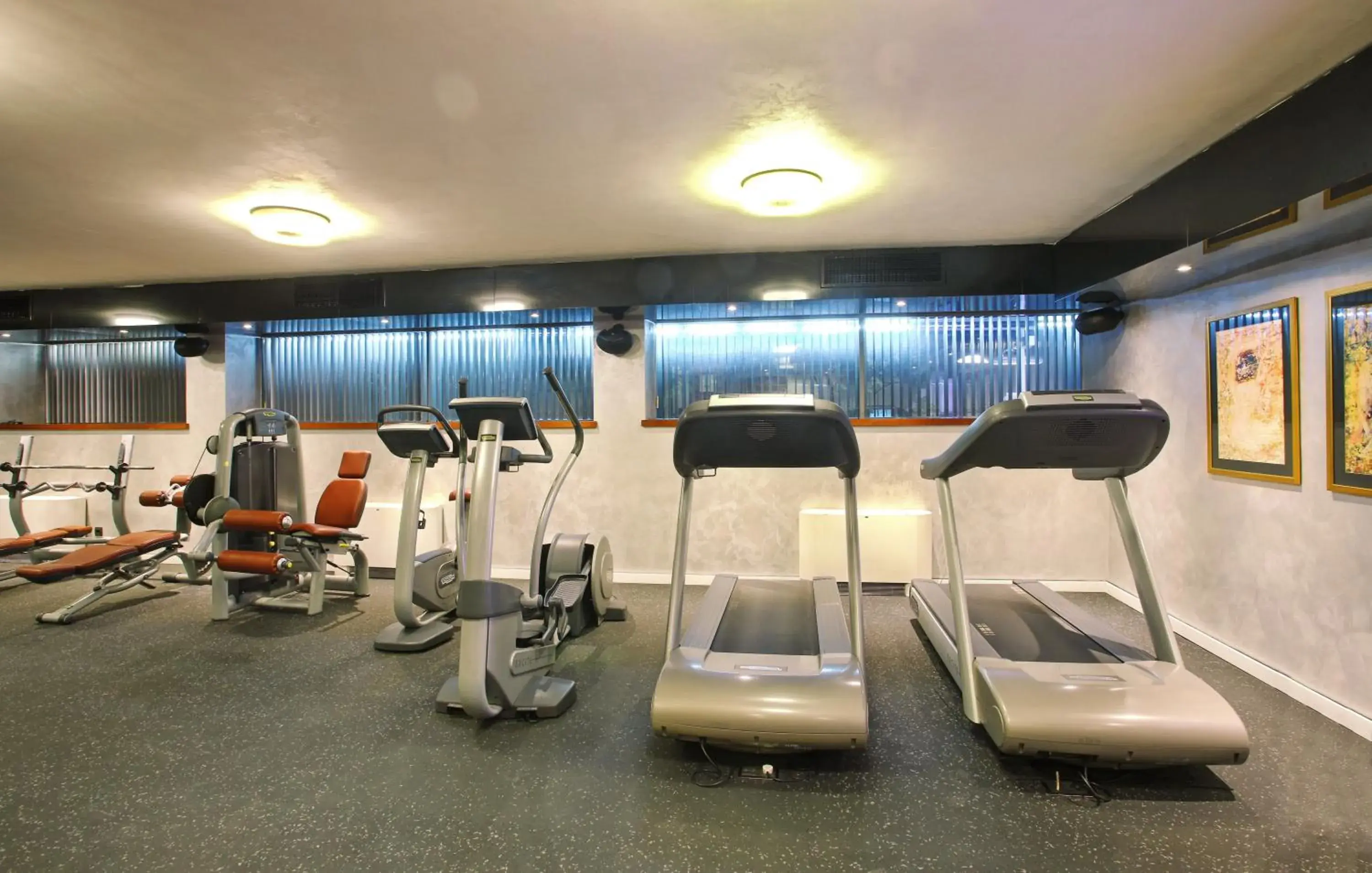 Fitness centre/facilities, Fitness Center/Facilities in Hotel Anel