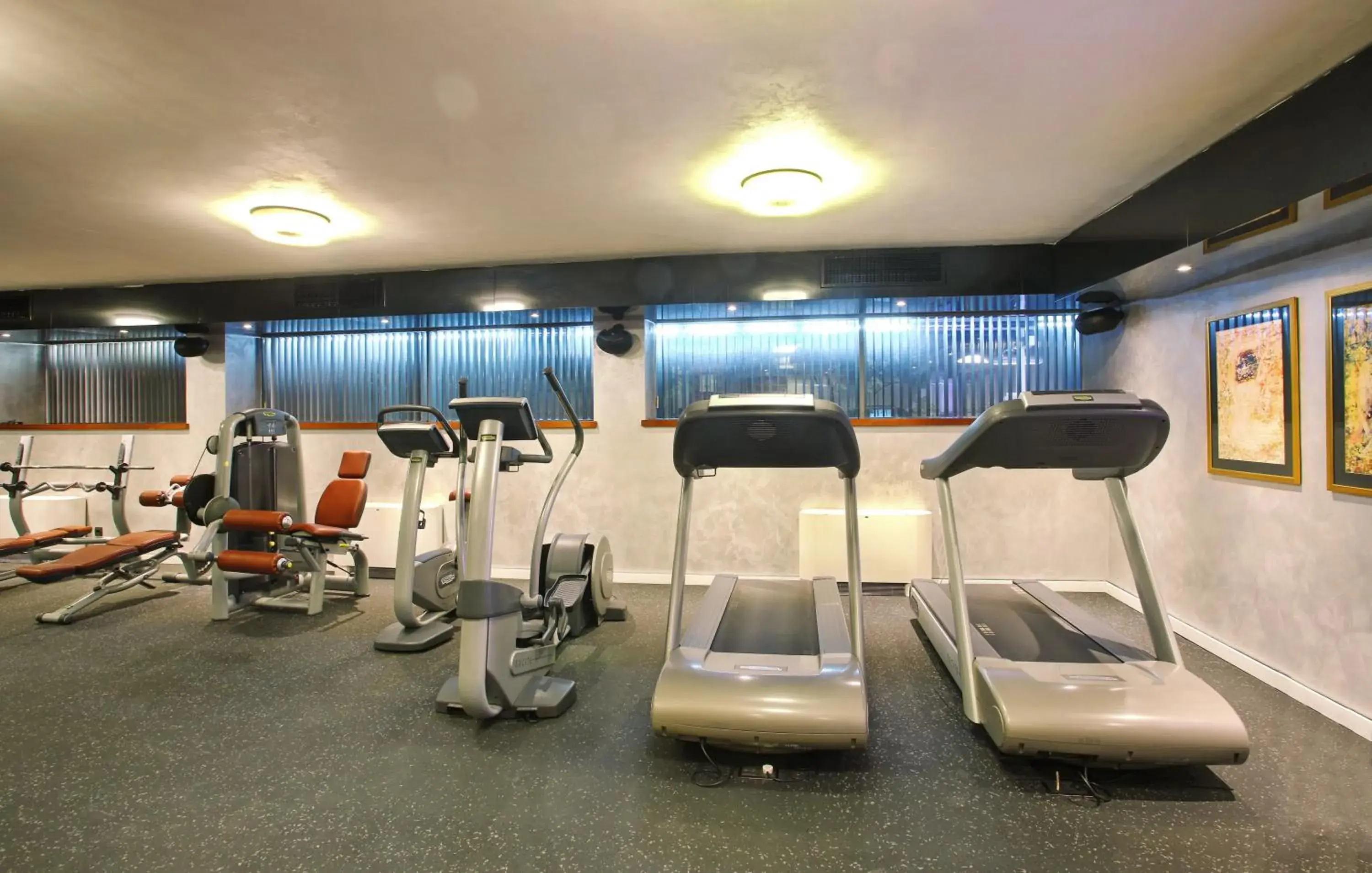 Fitness centre/facilities in Hotel Anel Fitness centre/facilities in Hotel Anel