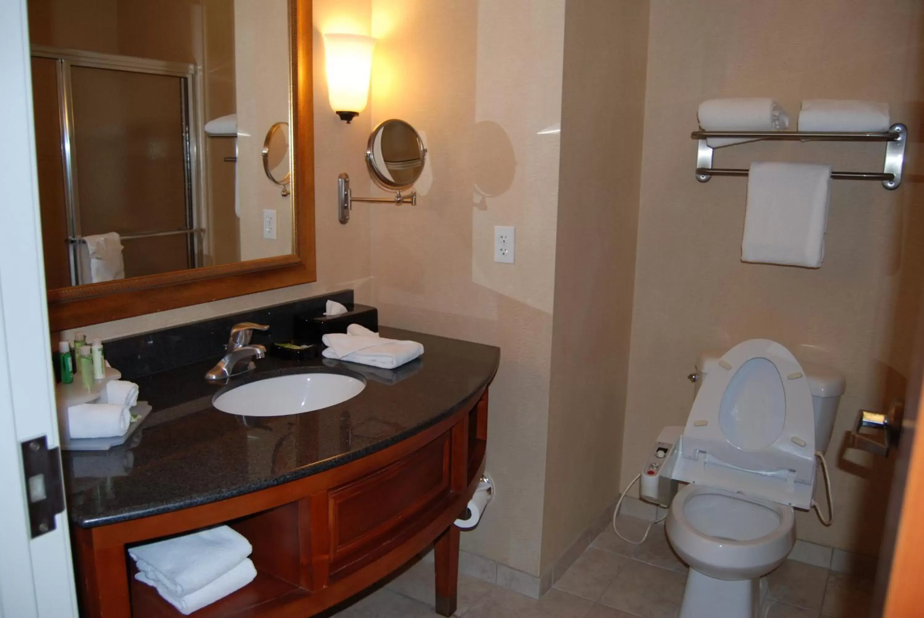 Bathroom in Holiday Inn Express Hotel & Suites Auburn Hills, an IHG Hotel