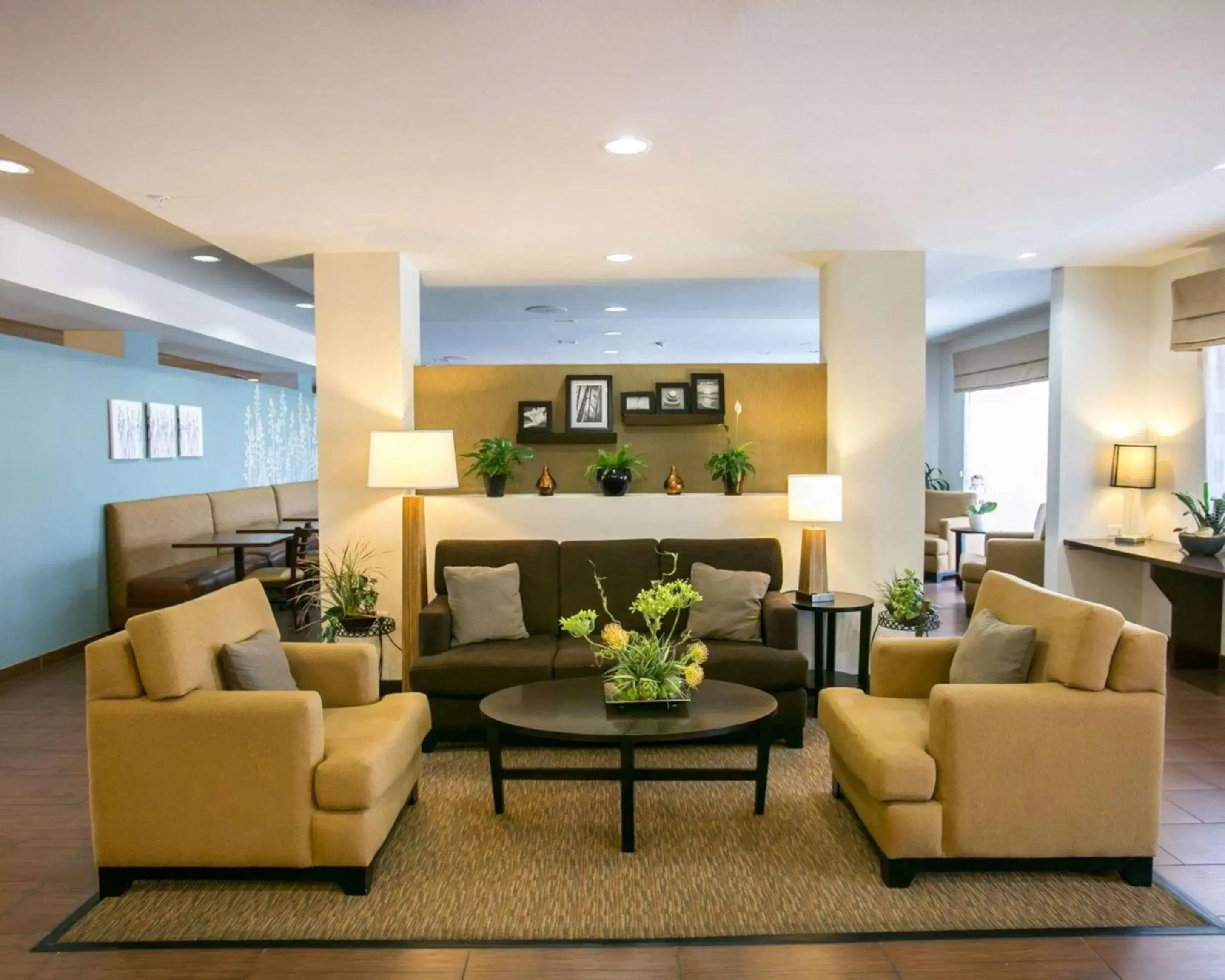 Lobby or reception, Lobby/Reception in Sleep Inn & Suites Austin