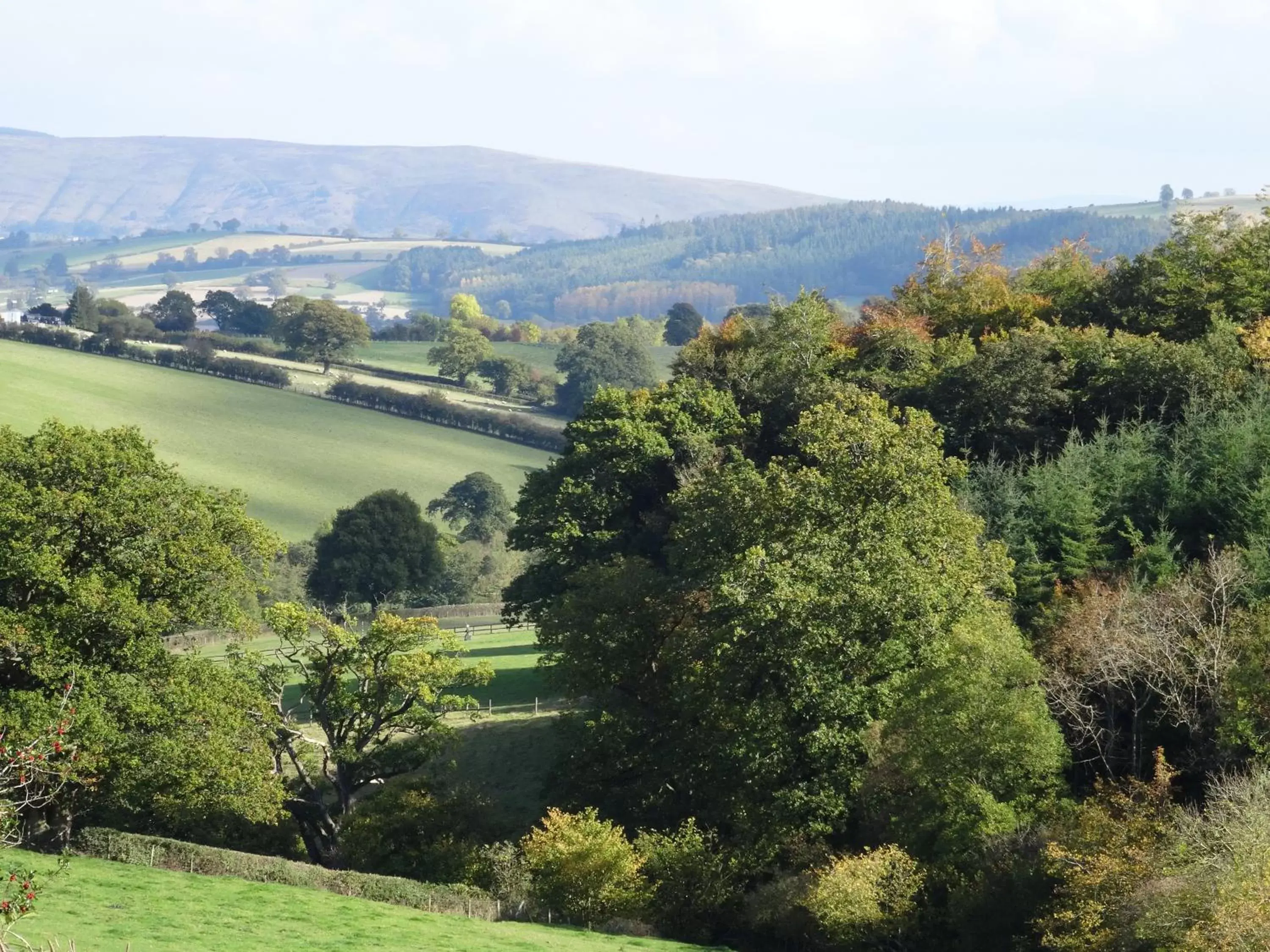 Property building in Middle Woodbatch B&B