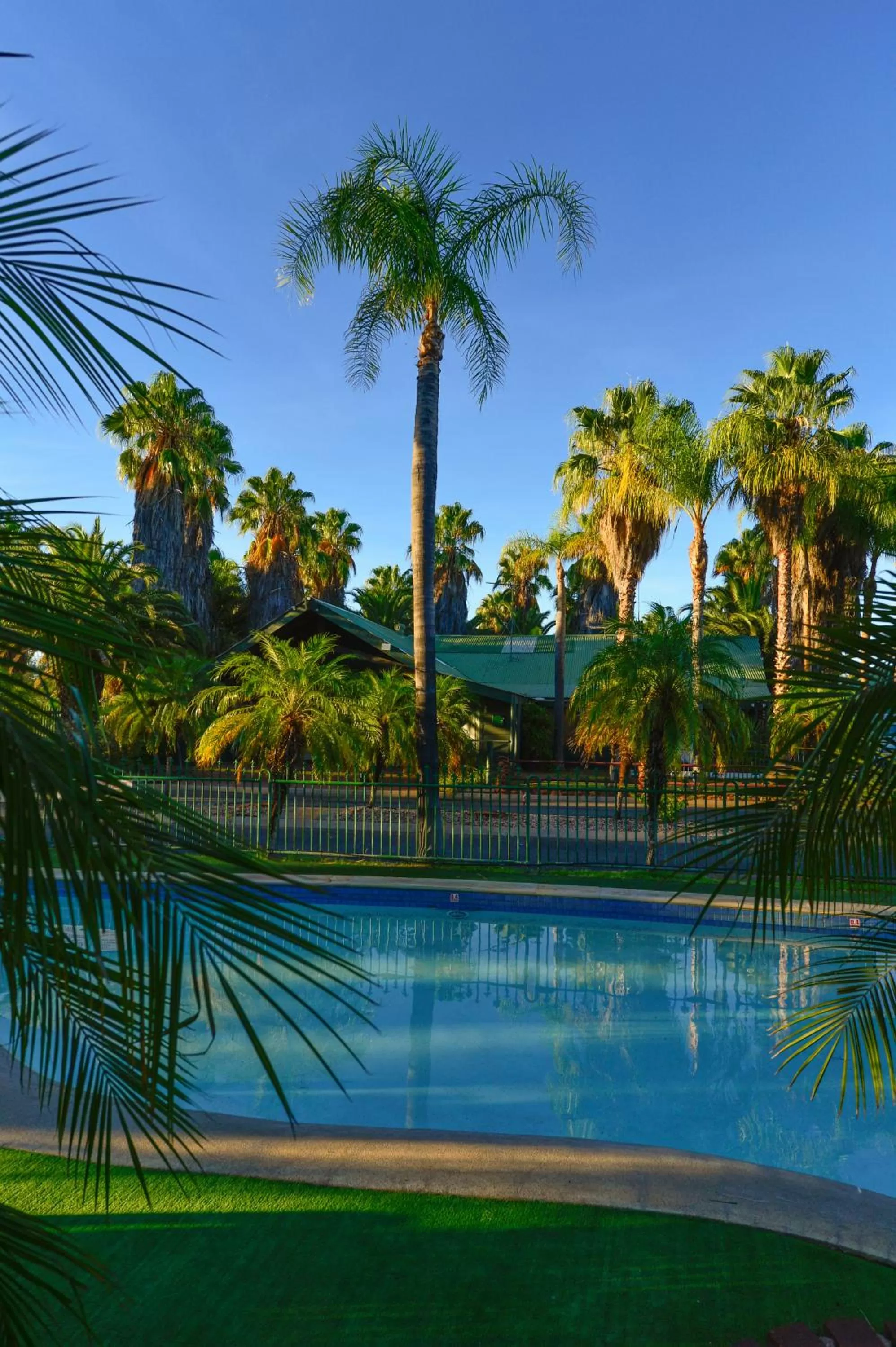 Swimming pool in Desert Palms Alice Springs