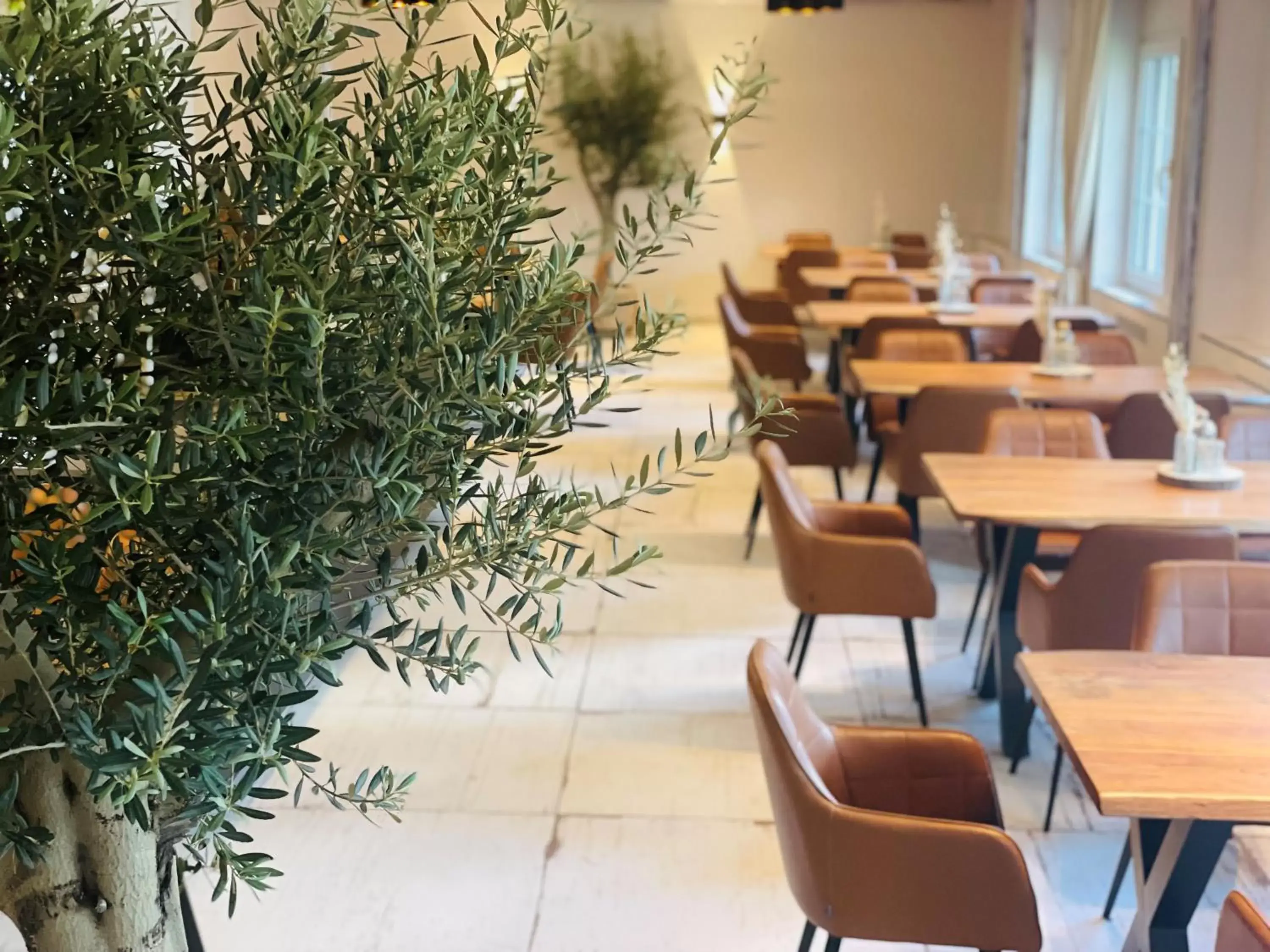 Restaurant/places to eat in Spree - Waldhotel Cottbus Restaurant/places to eat in Spree - Waldhotel Cottbus