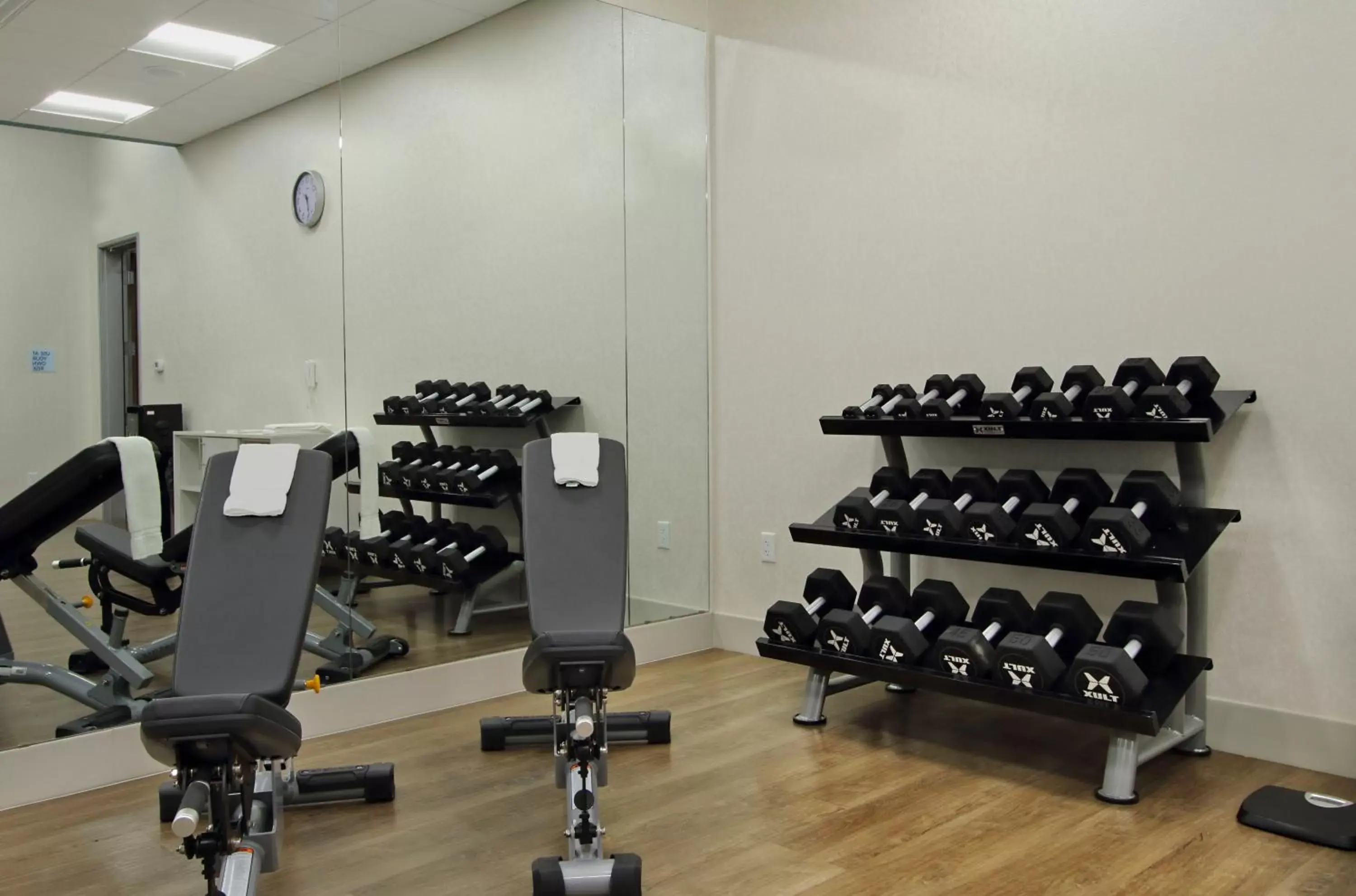 Fitness centre/facilities, Fitness Center/Facilities in Holiday Inn Express & Suites - Frisco NW Toyota Stdm, an IHG Hotel