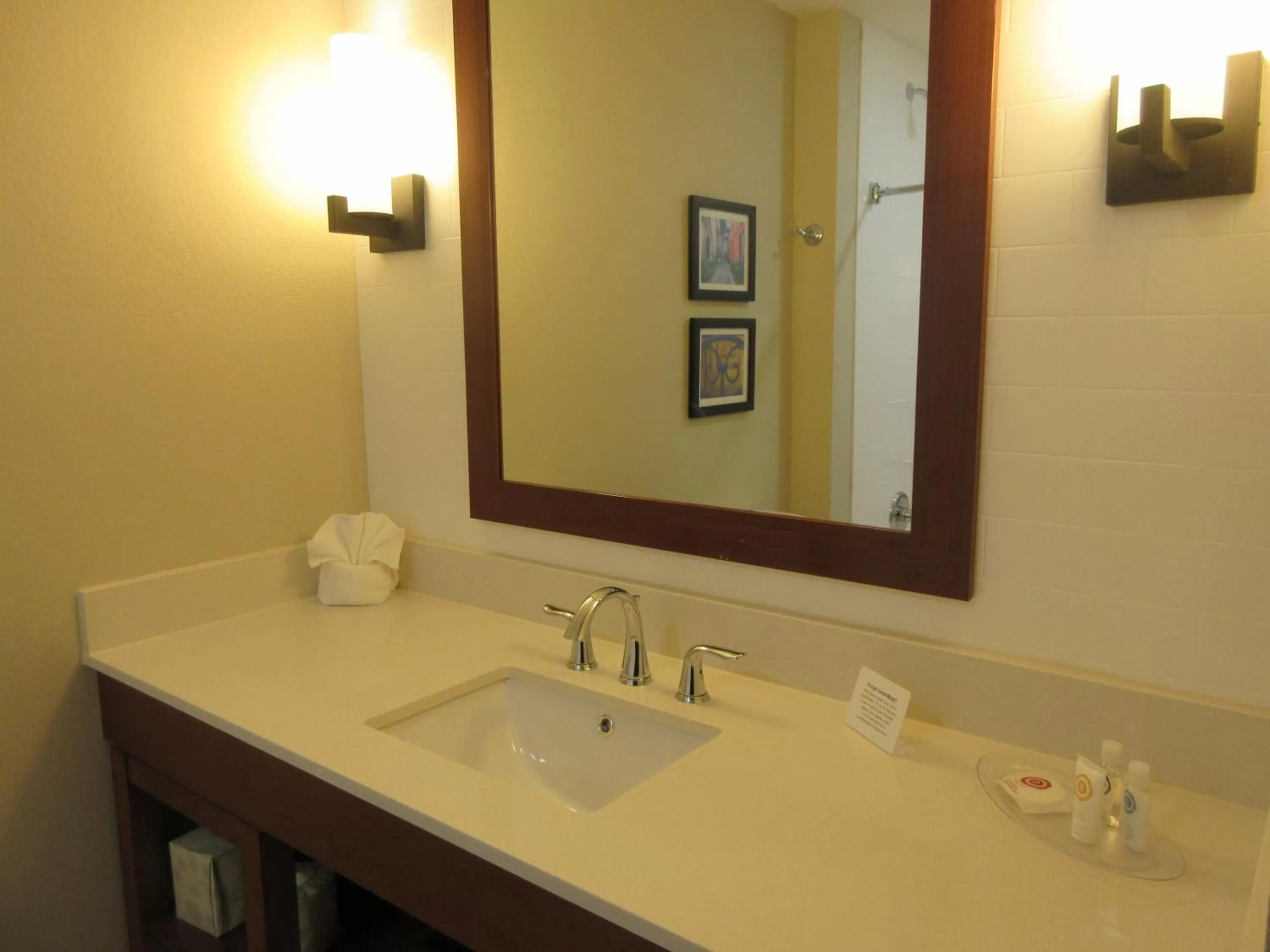 Bathroom in Comfort Suites Summerville North