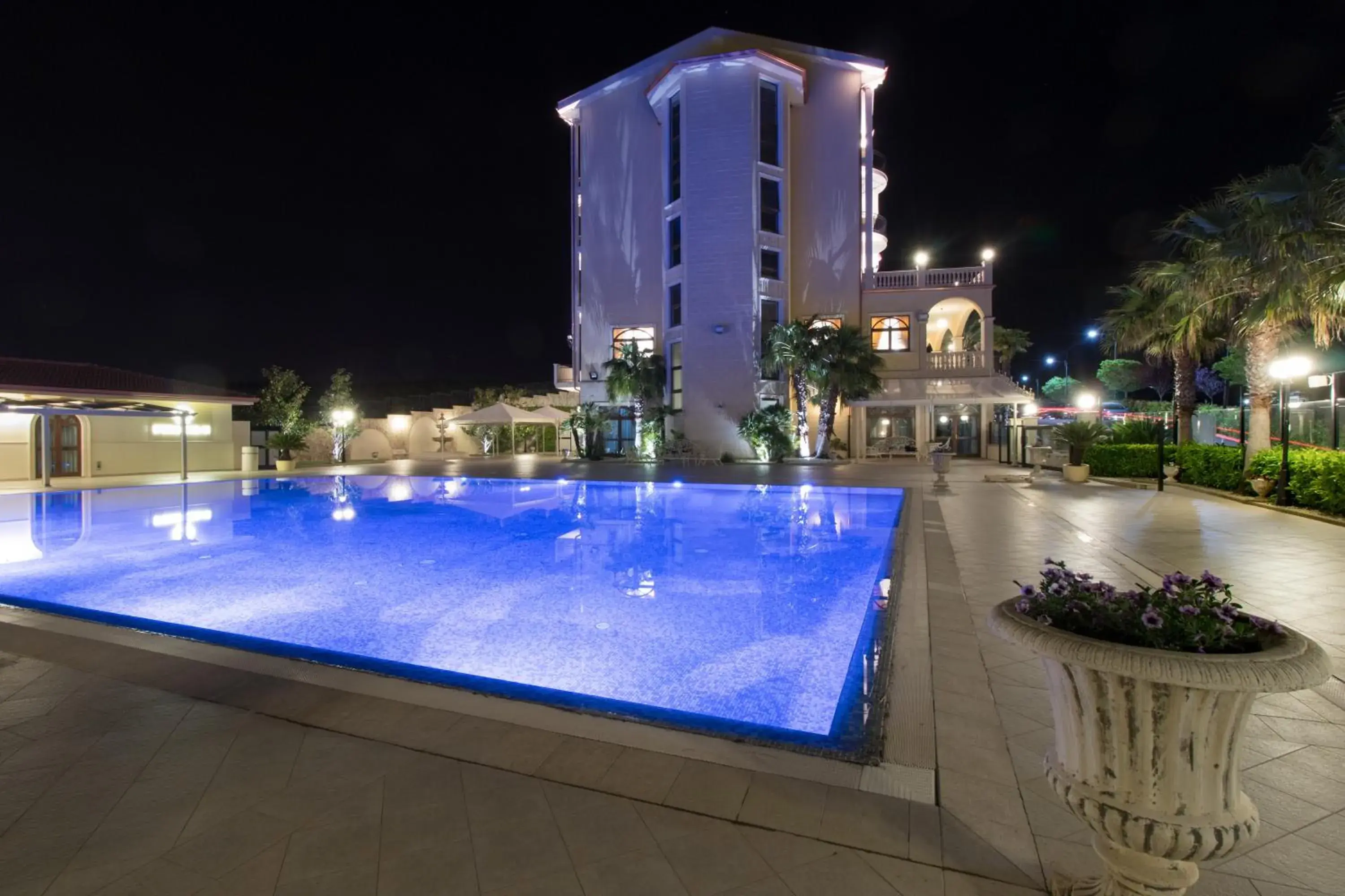 Swimming Pool in Hotel Federico II