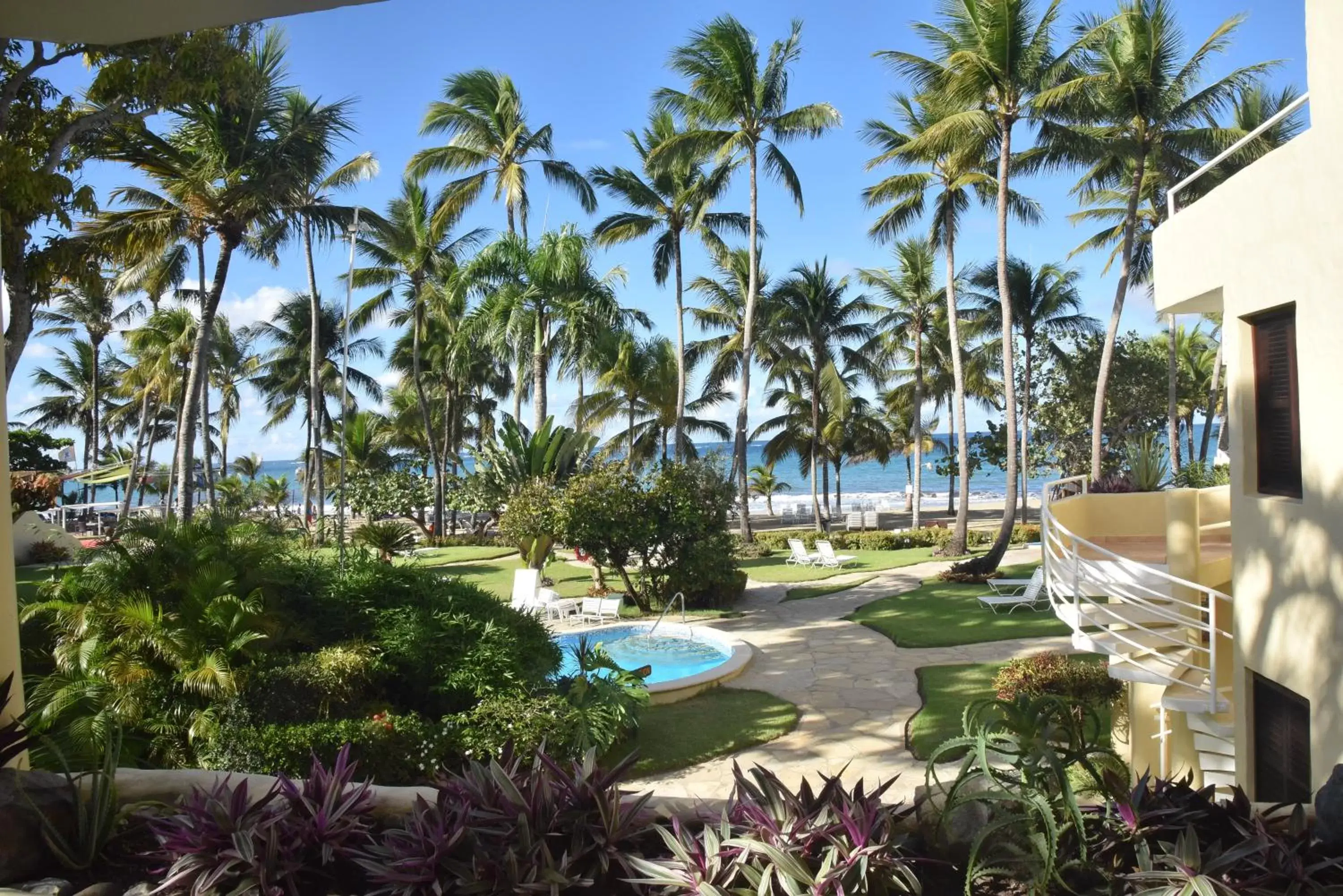 Swimming Pool in Cabarete Palm Beach Condos