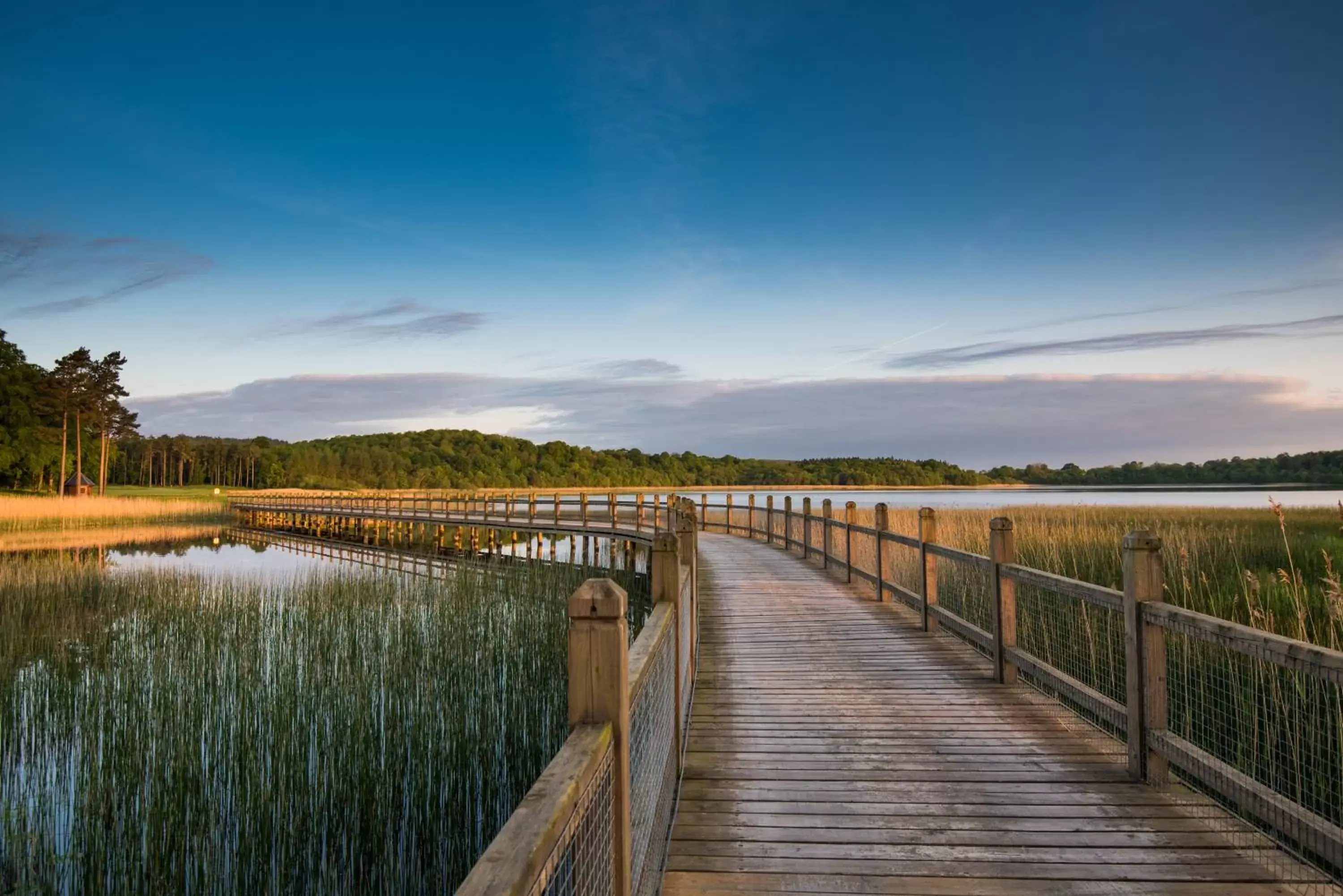 Natural landscape in Lough Erne Resort