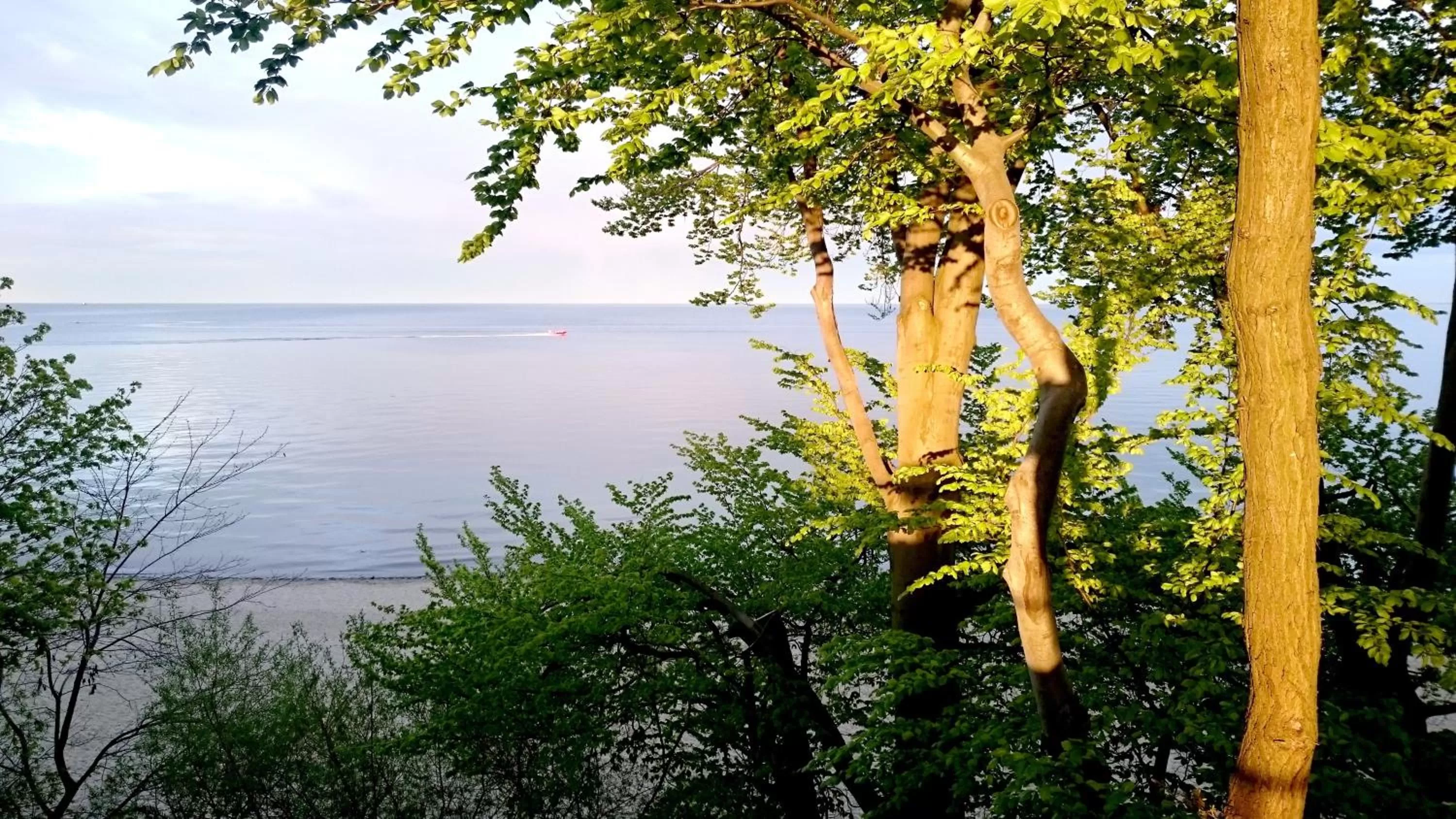 Off site in Willa Długa No 4 Bed & Breakfast - Gdynia