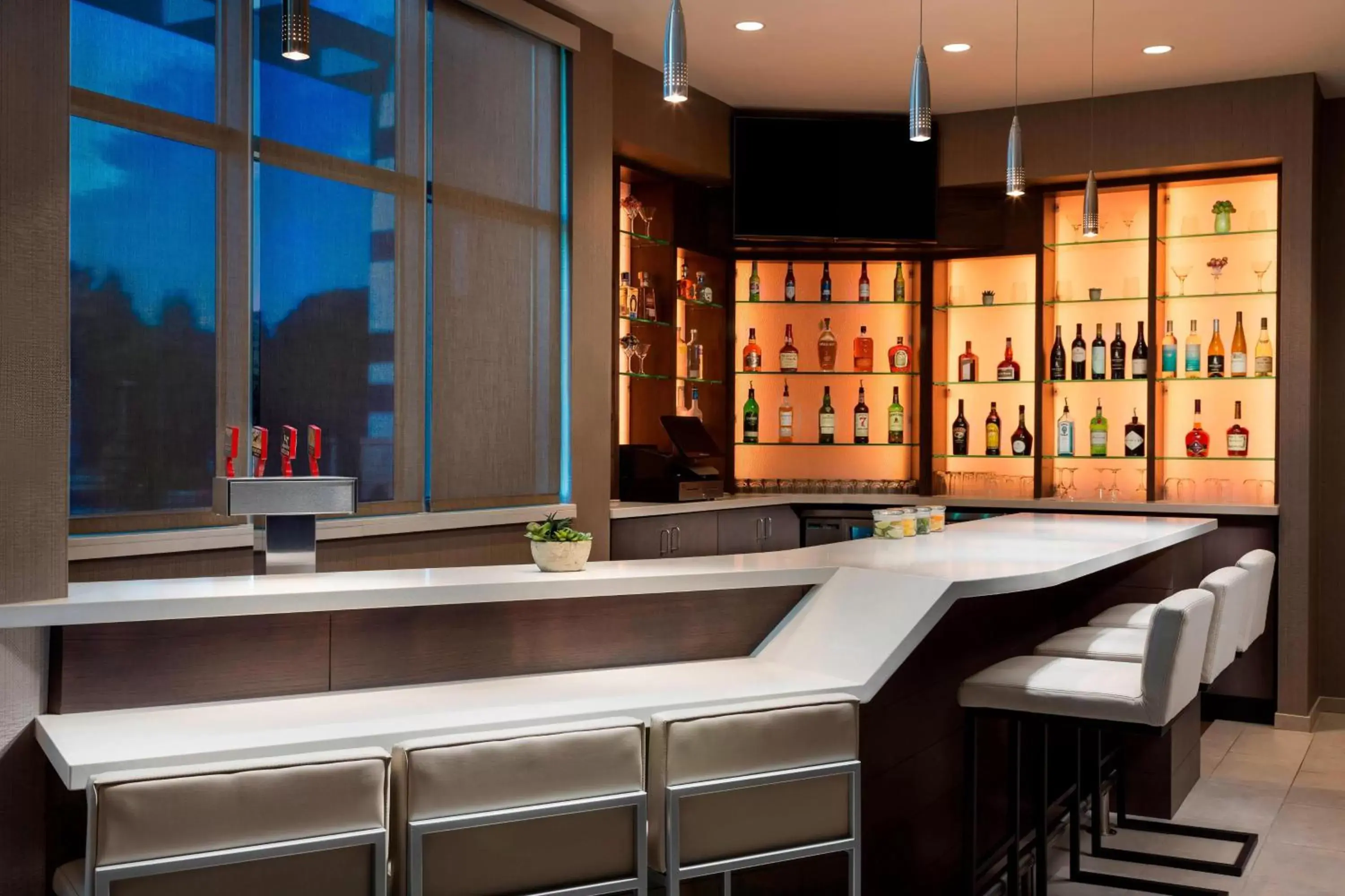 Restaurant/places to eat, Lounge/Bar in SpringHill Suites by Marriott Belmont Redwood Shores