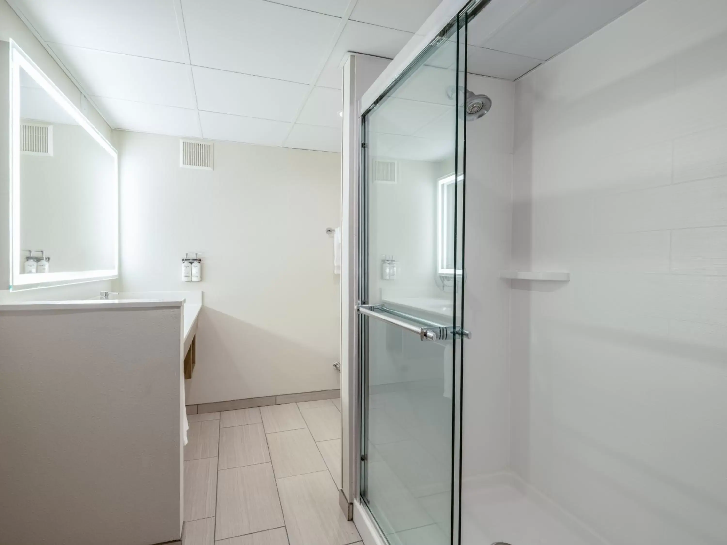 Bathroom in Holiday Inn Express & Suites Greensboro - I-40 atWendover, an IHG Hotel