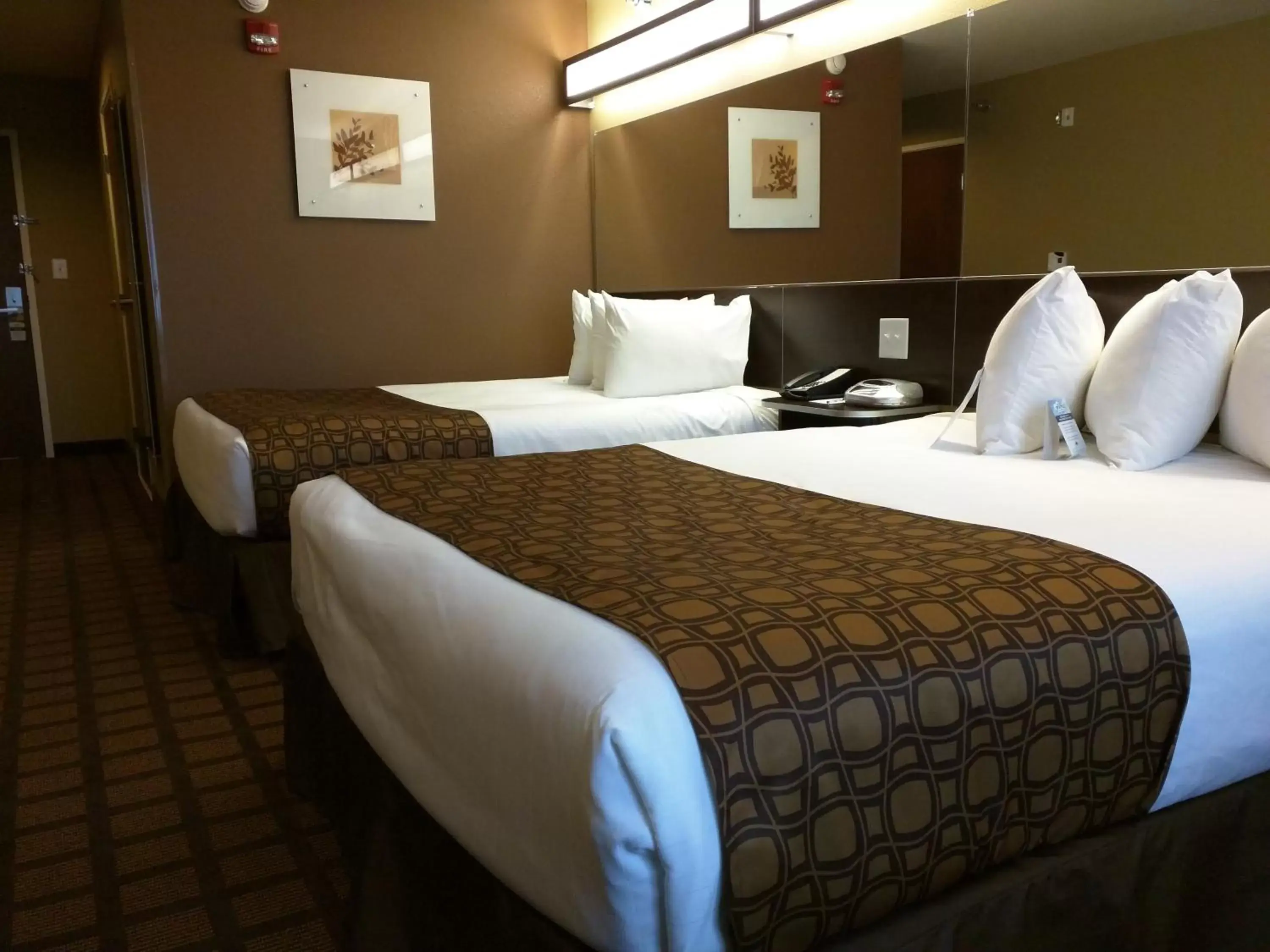 Photo of the whole room, Bed in Microtel Inn & Suites by Wyndham Minot