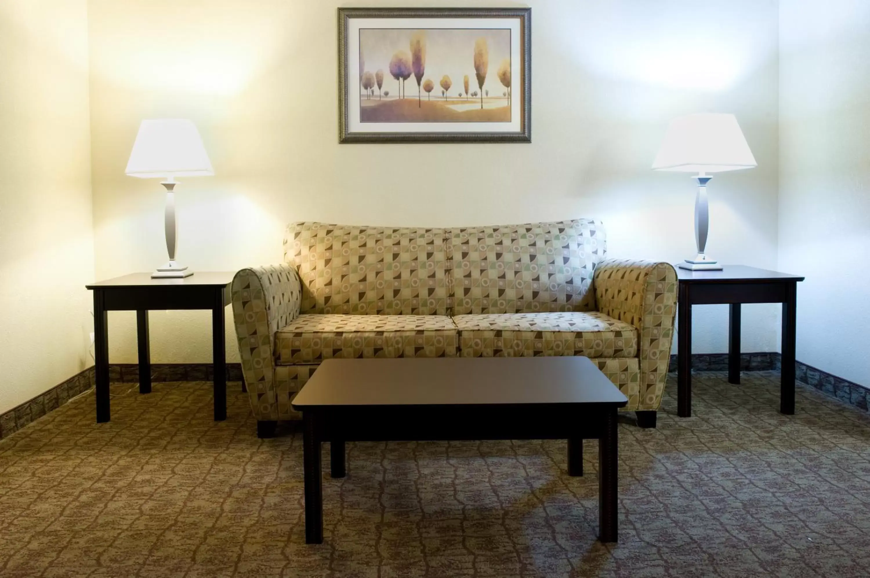 Photo of the whole room, Seating Area in Holiday Inn Express Hotel & Suites Dallas Fort Worth Airport South, an IHG Hotel