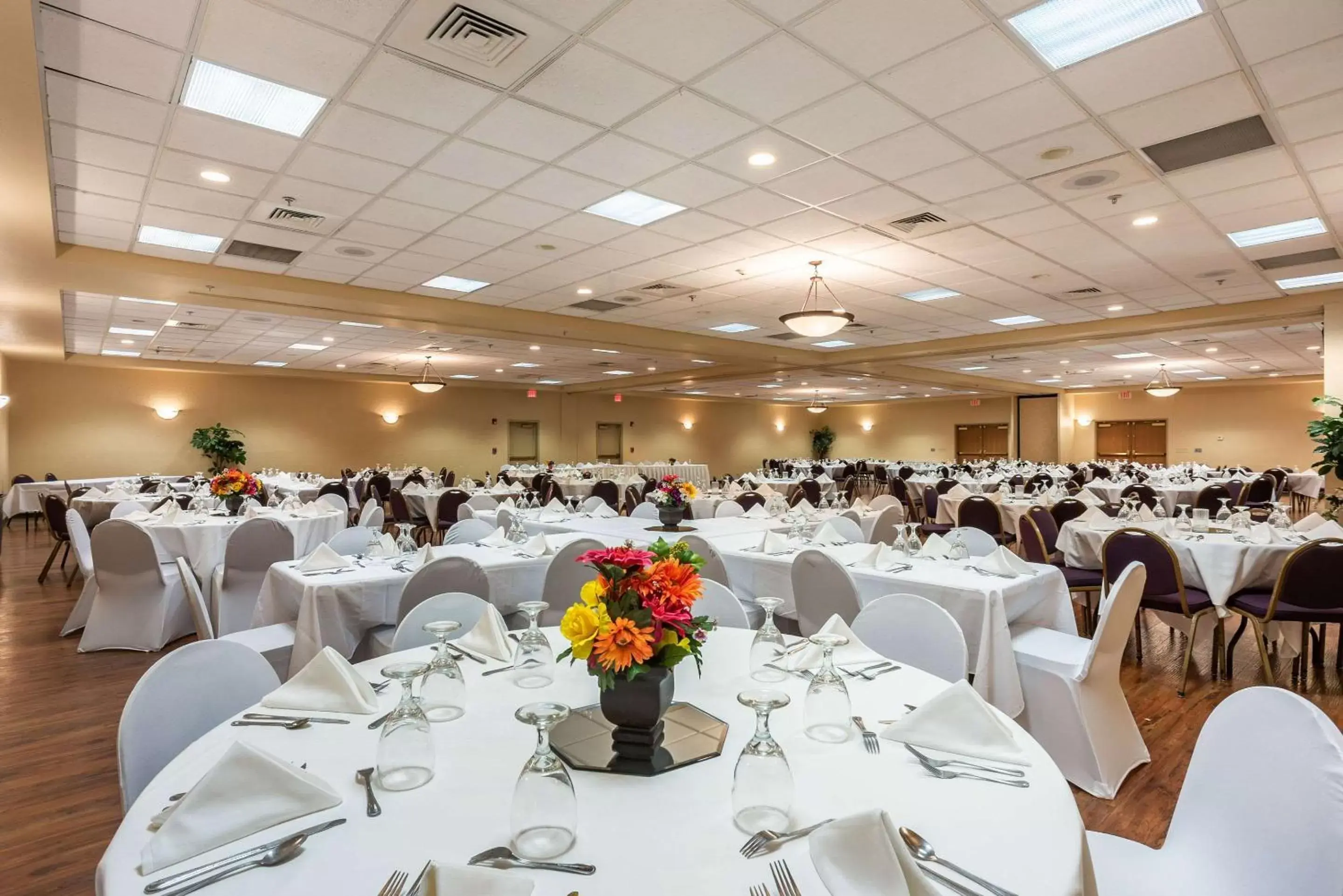 Meeting/conference room, Banquet Facilities in Quality Inn & Suites Hannibal