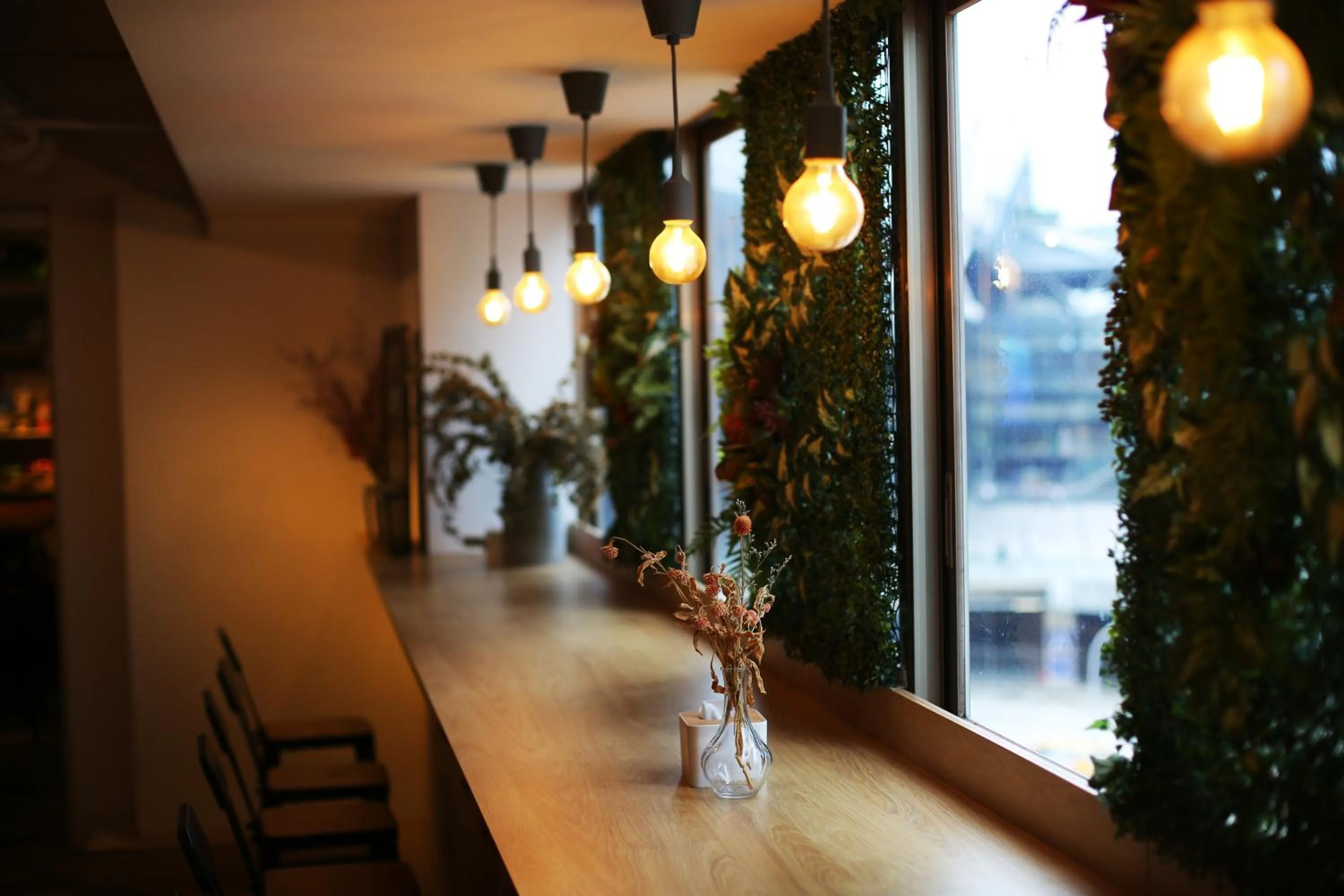 Property building in Loosha Hostel