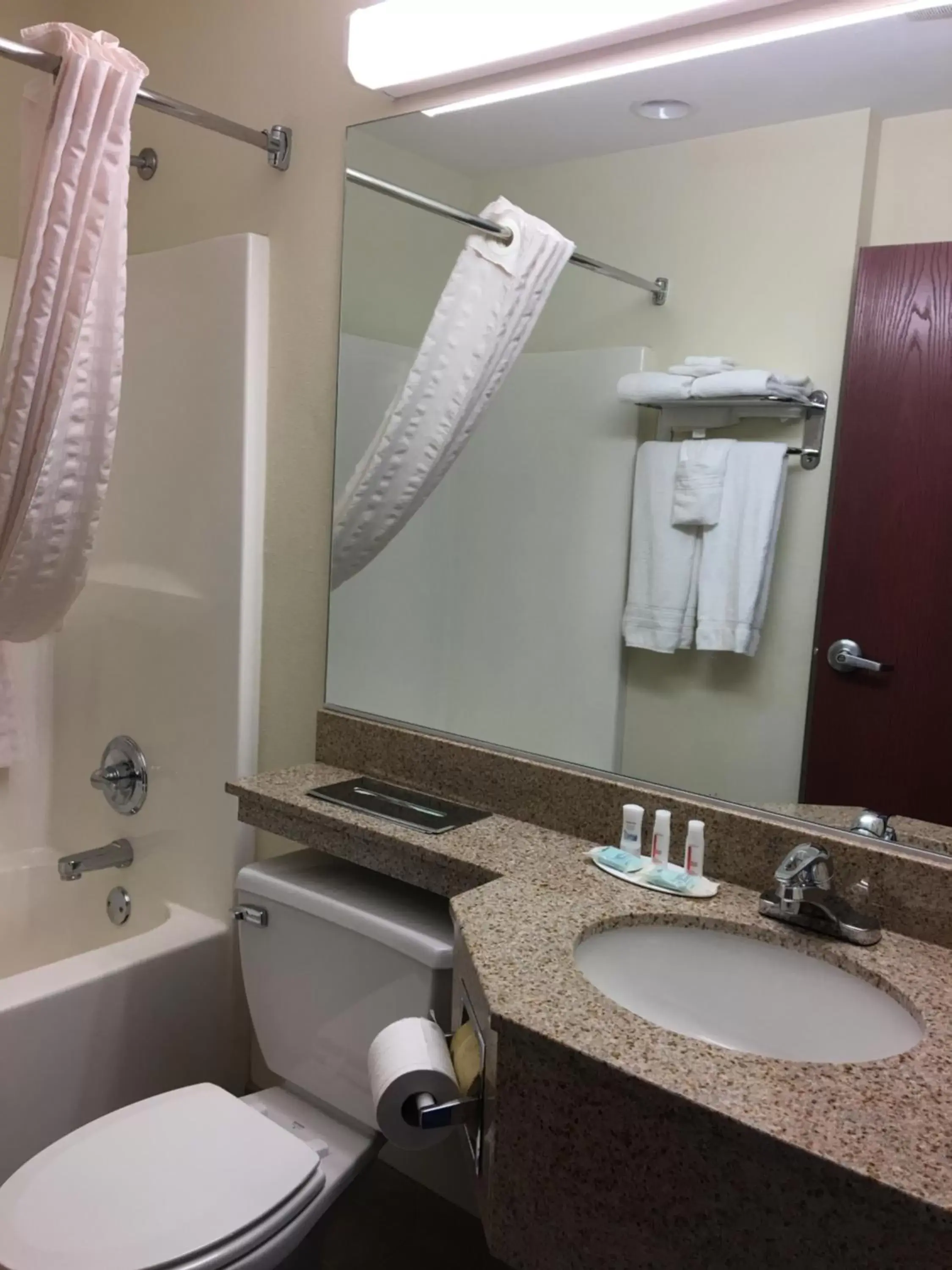 Toilet, Bathroom in Microtel Inn & Suites by Wyndham Indianapolis Airport