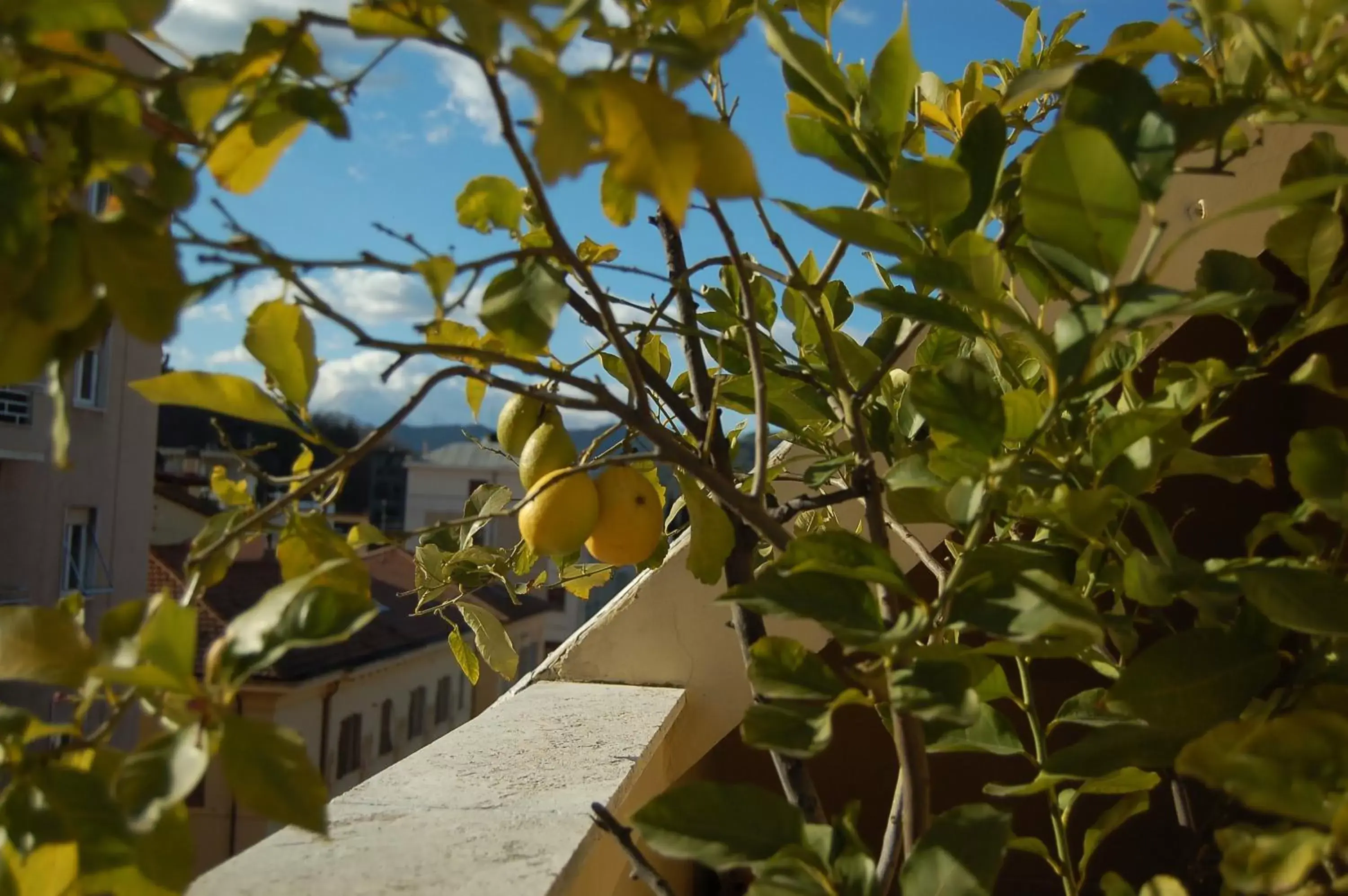 Balcony/Terrace in A Casa di Lola