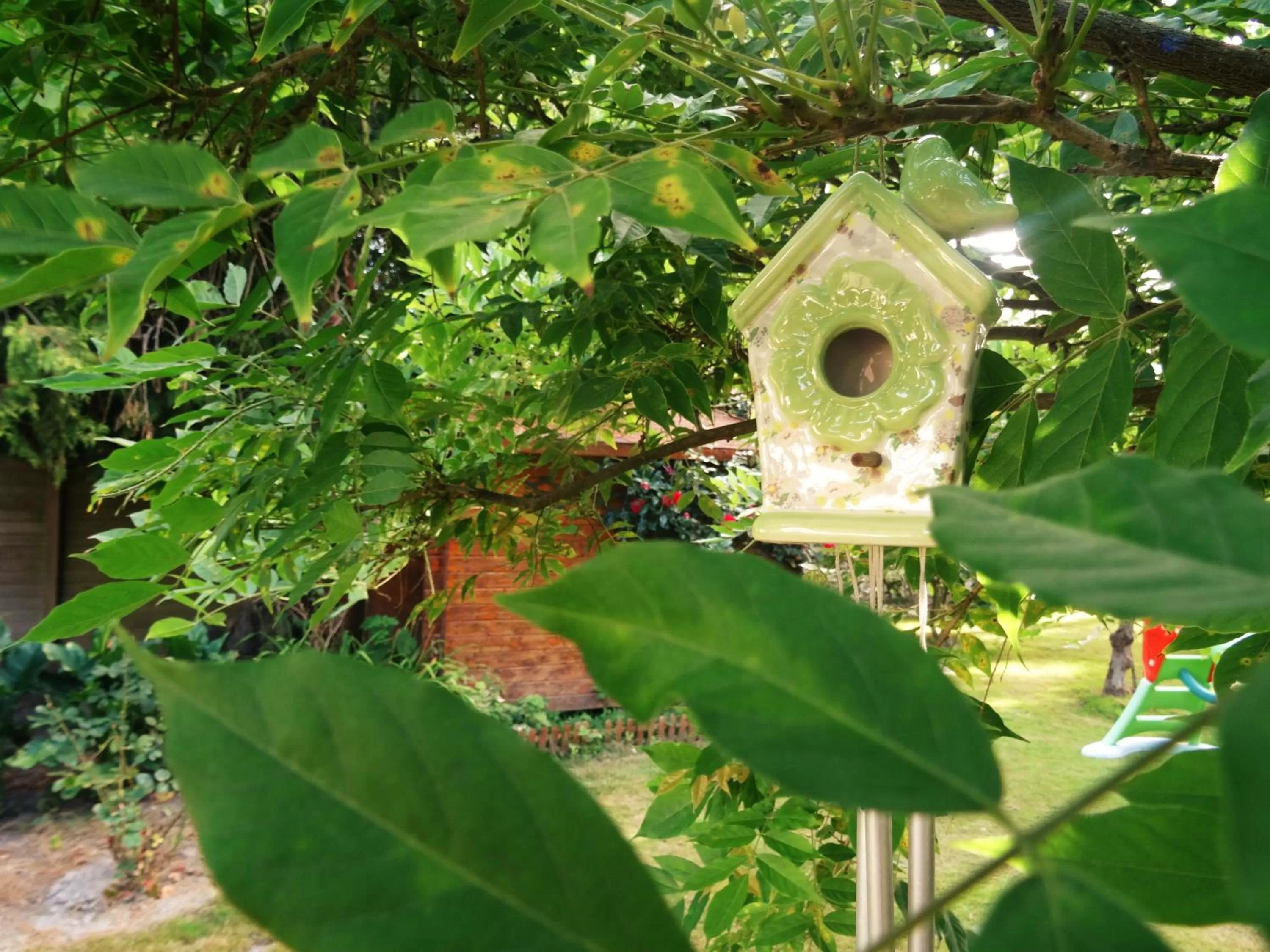 Garden view in Villa La Clef Des Champs