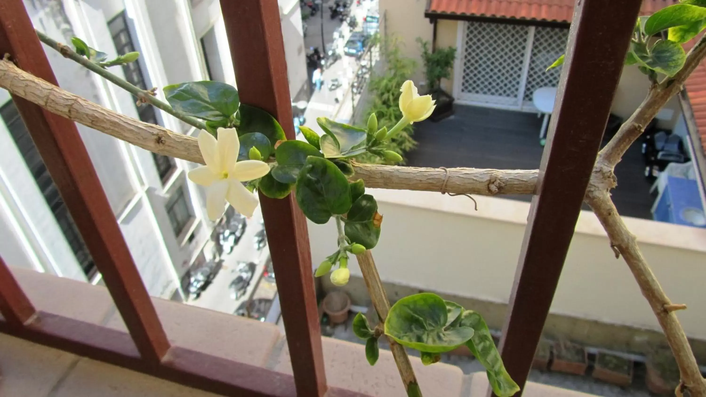 Balcony/Terrace in International Naples