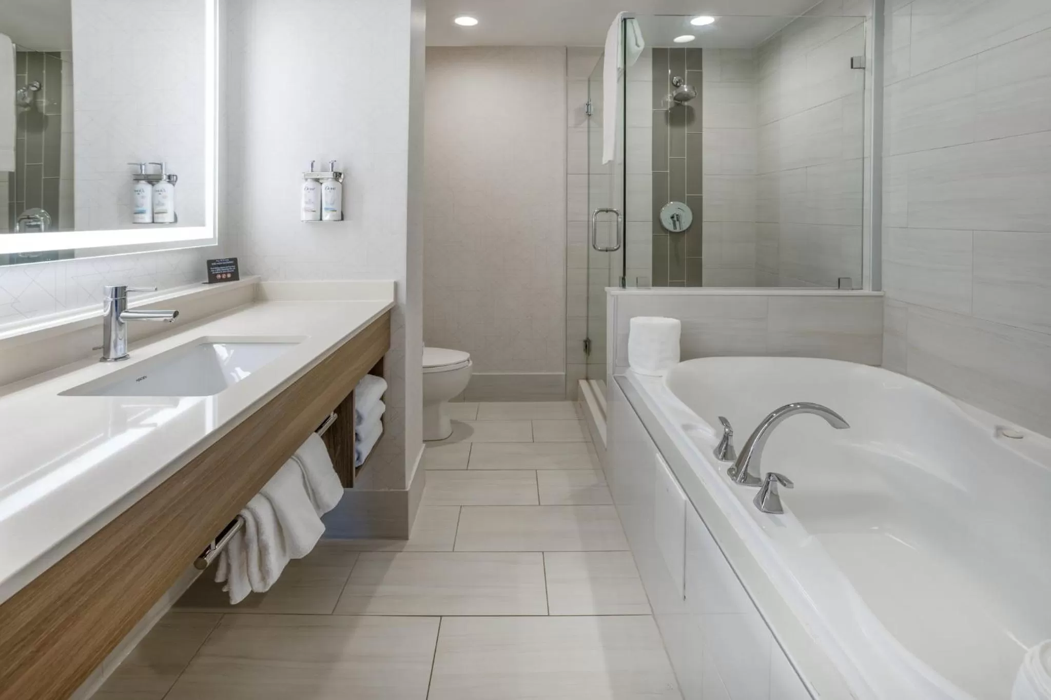 Bathroom in Holiday Inn Express and Suites Tampa I-75 at Bruce B. Downs by IHG