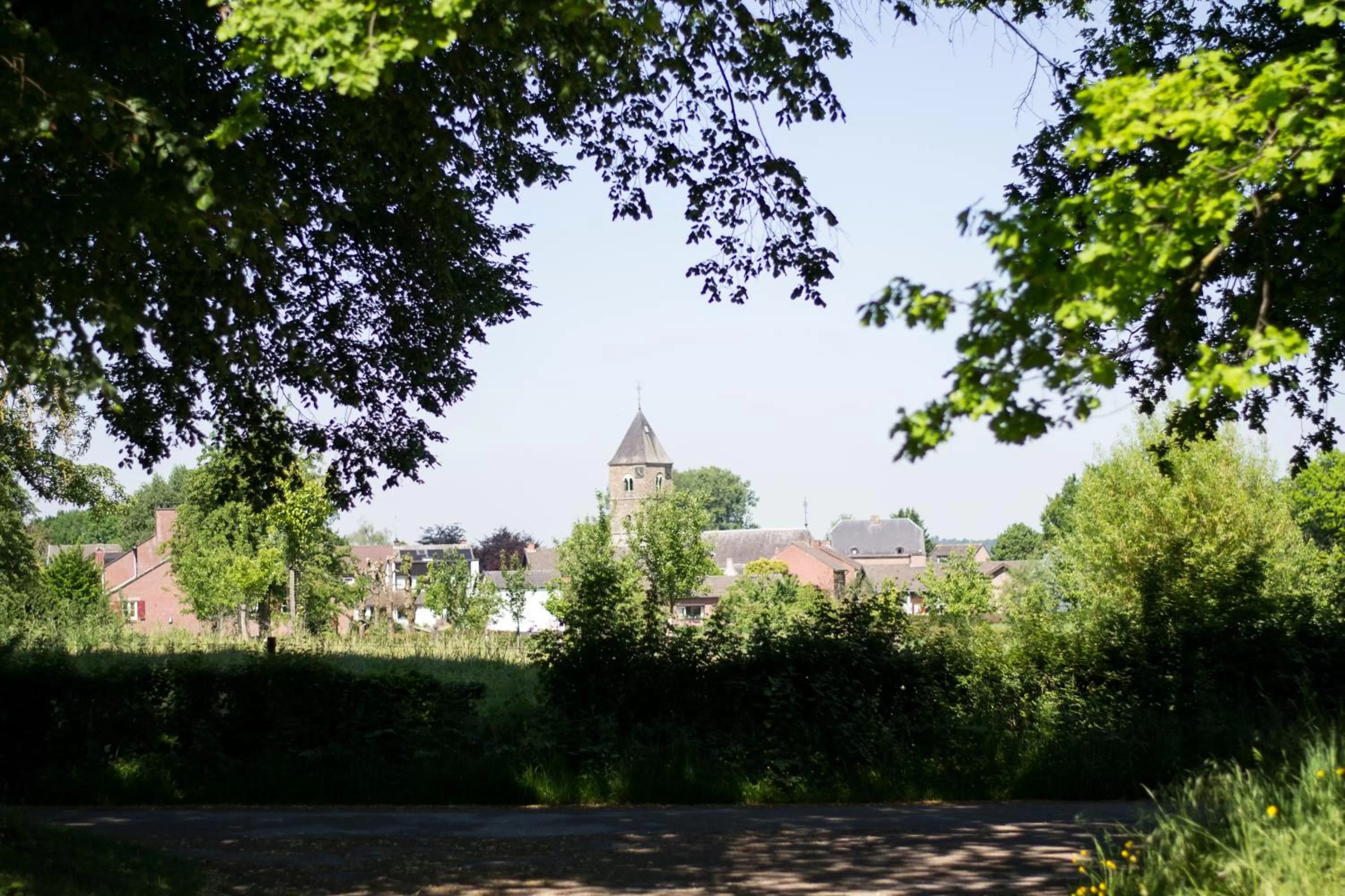 Neighbourhood in Huize Mesch