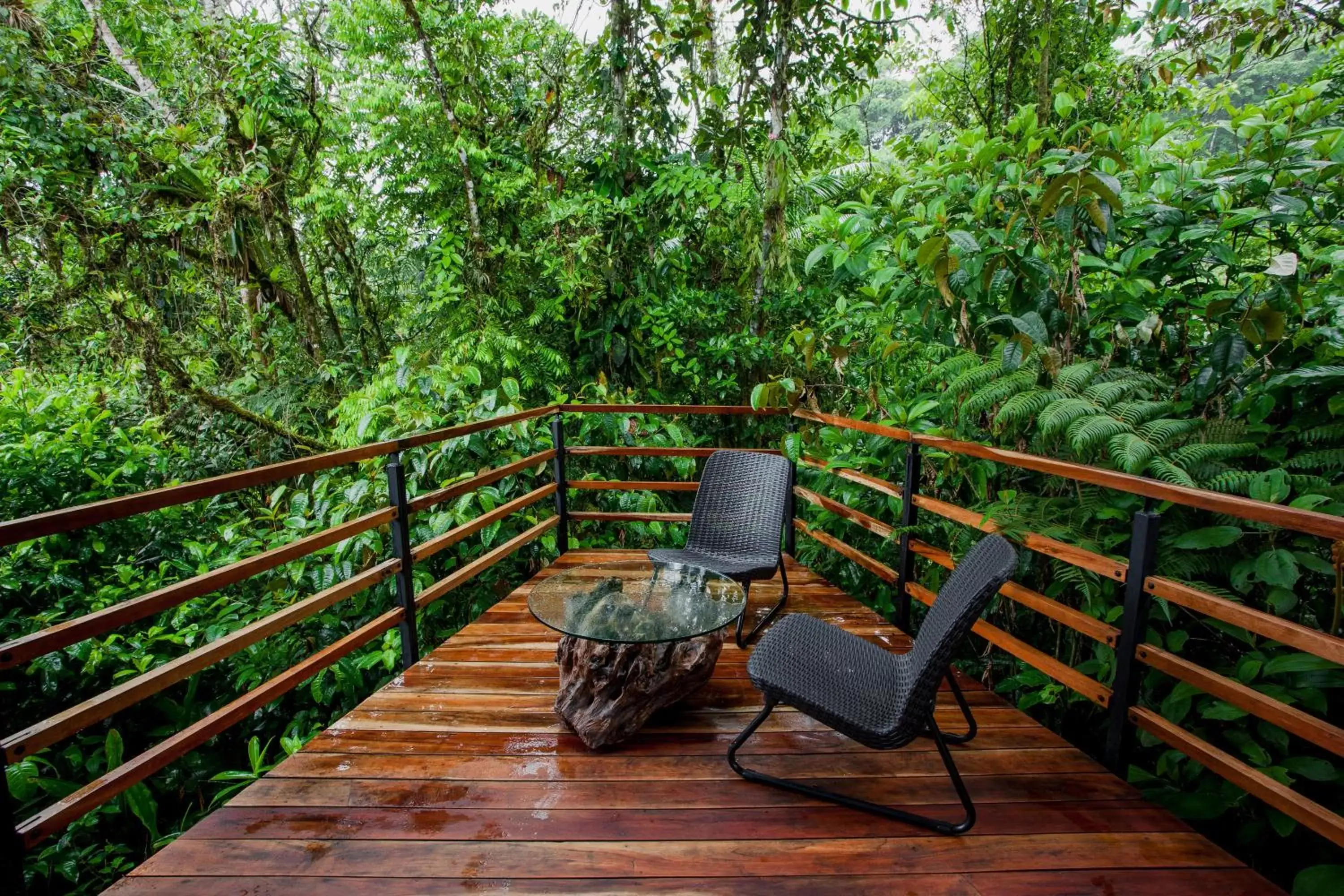 Balcony/Terrace in Ecolirios Boutique Hotel and Spa