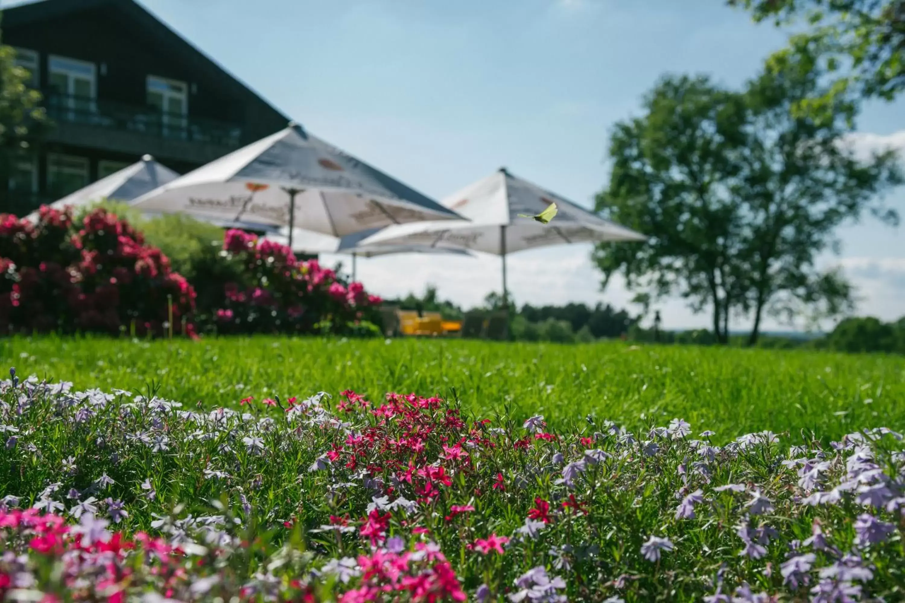 Spring, Property Building in Hotel Landhaus Höpen