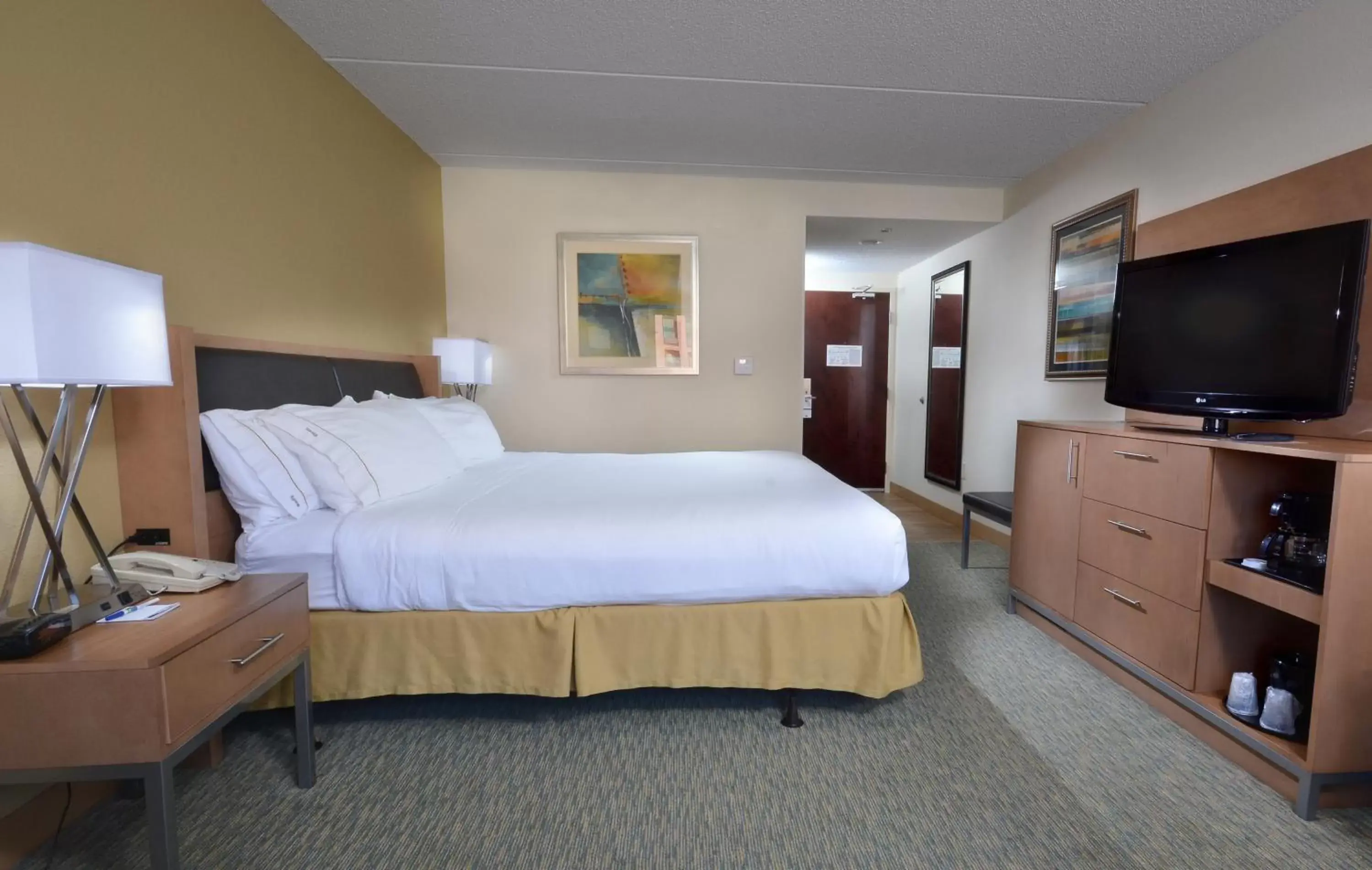 Photo of the whole room, Room Photo in Holiday Inn Express Hotel & Suites High Point South, an IHG Hotel