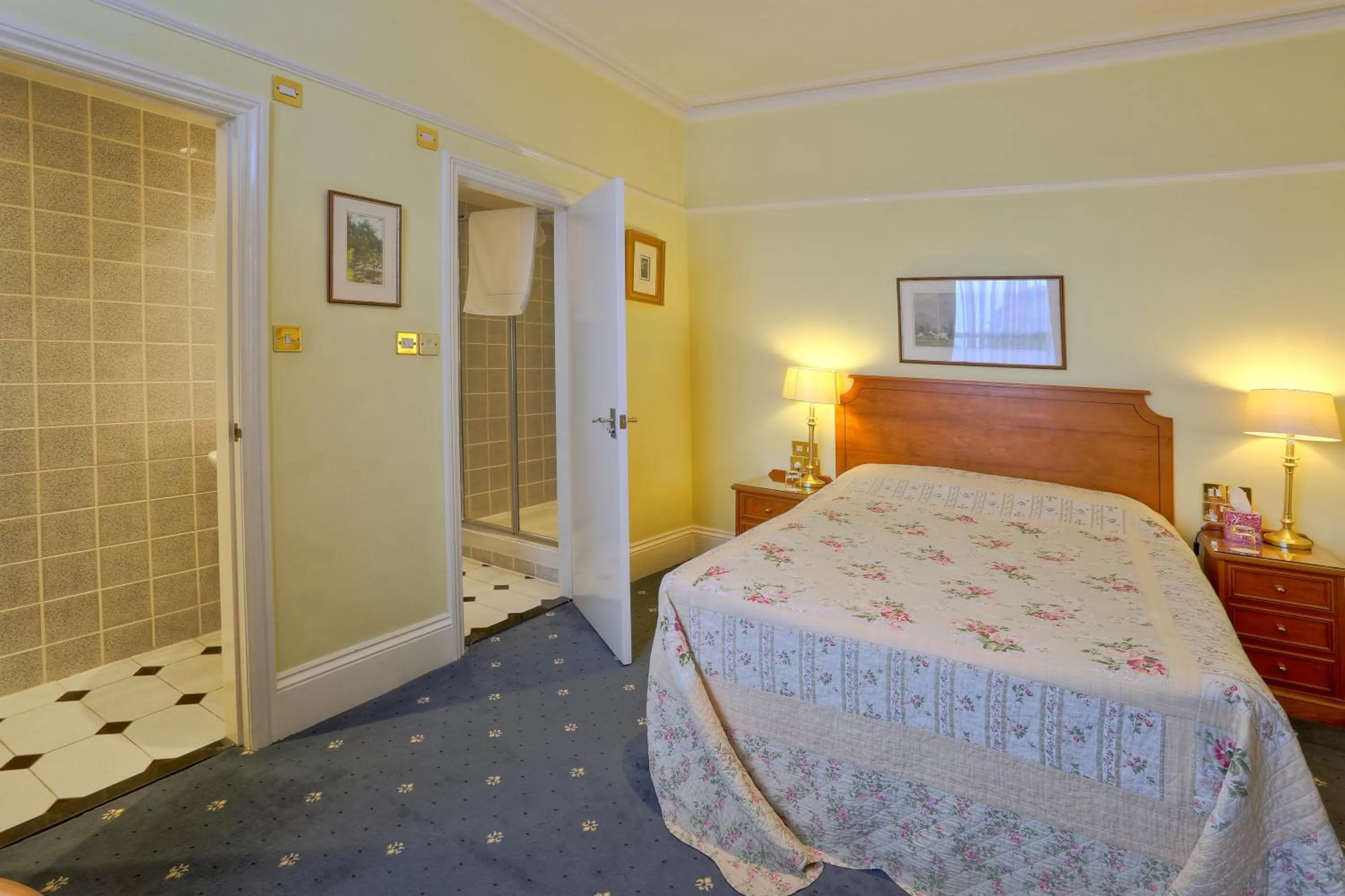 Double Room with Shower in 9 Green Lane Bed and Breakfast