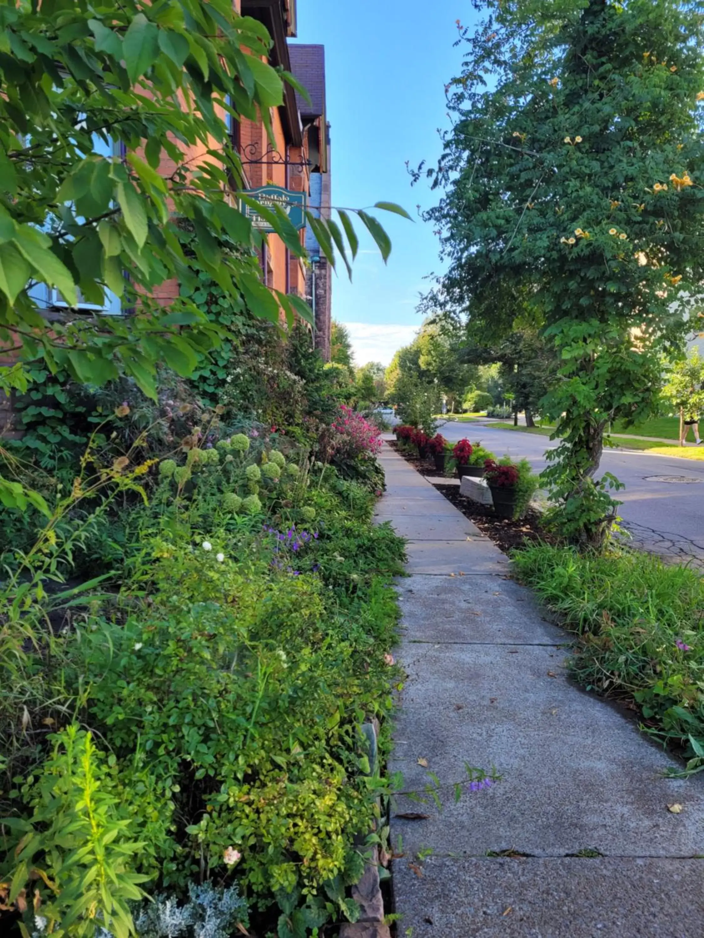 Garden in Buffalo Harmony House