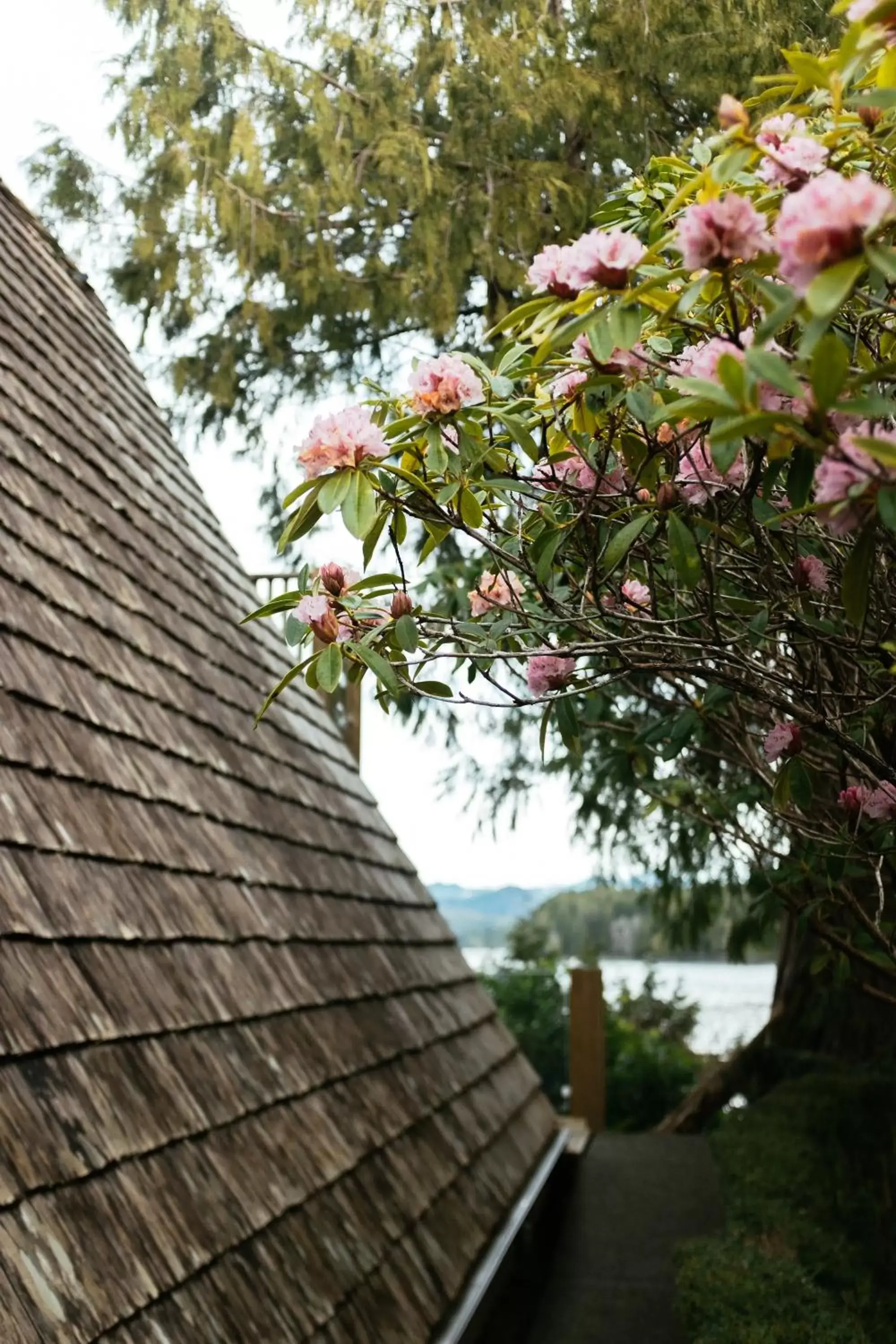 Property building in The Shoreline Tofino