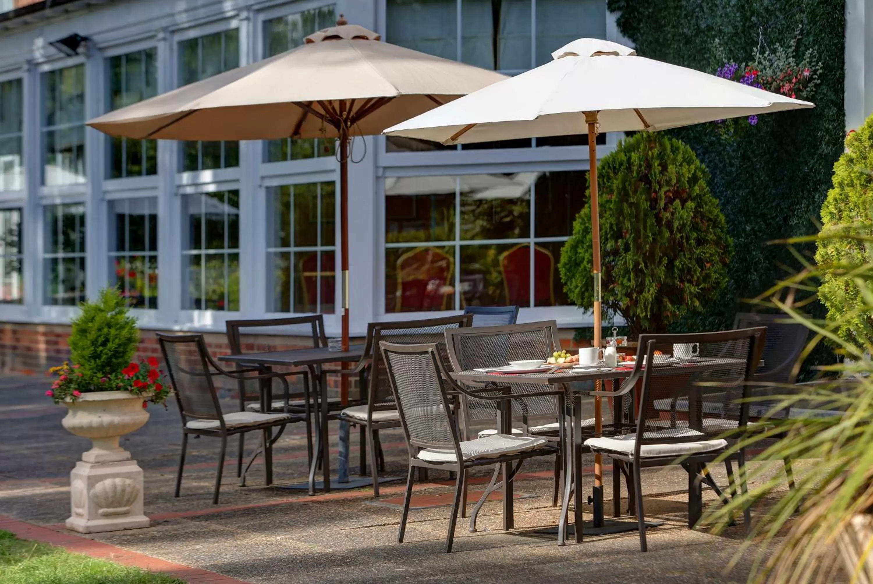 Restaurant/places to eat in Best Western Homestead Court Hotel