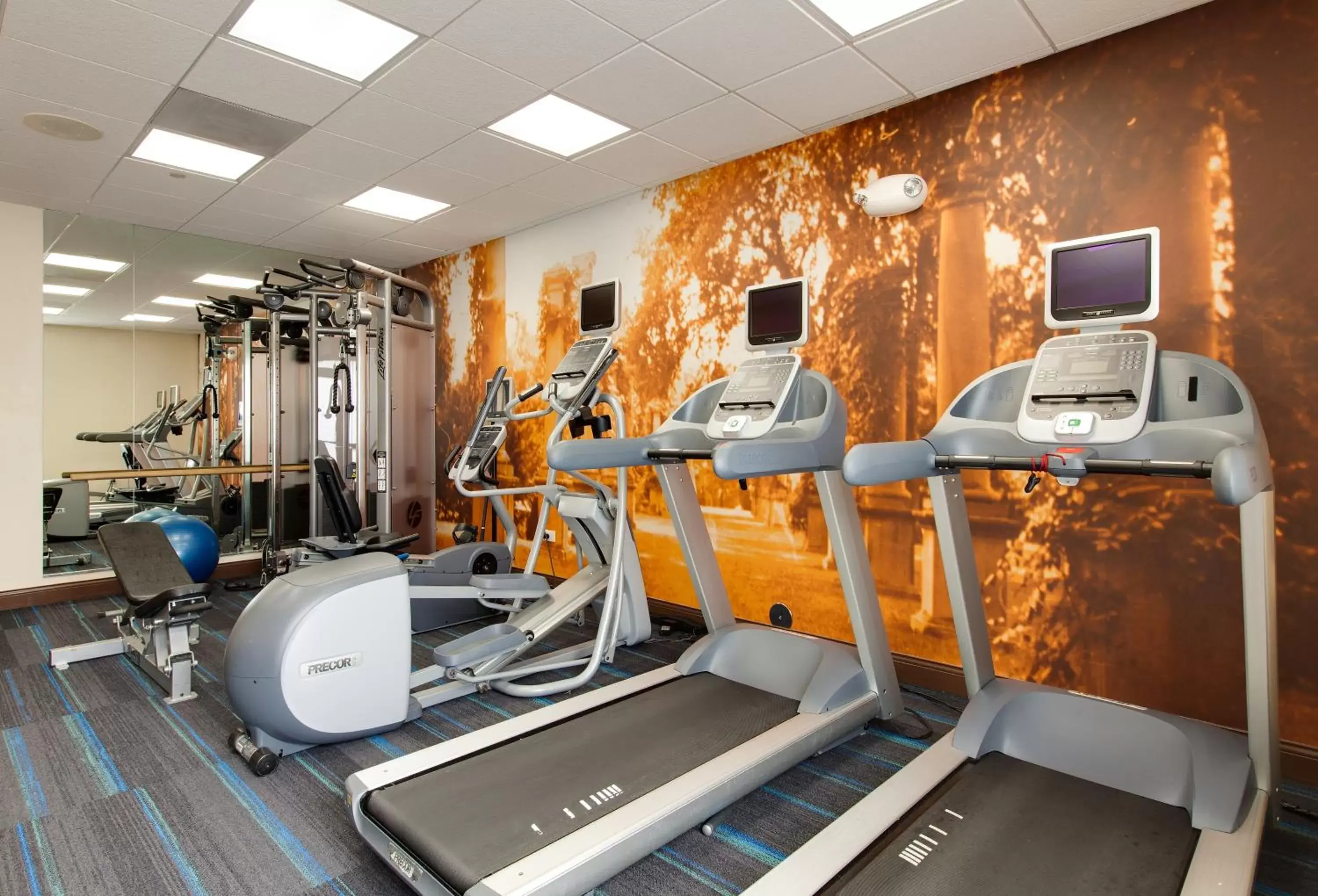 Fitness centre/facilities, Fitness Center/Facilities in Hotel Indigo Chicago - Vernon Hills, an IHG Hotel