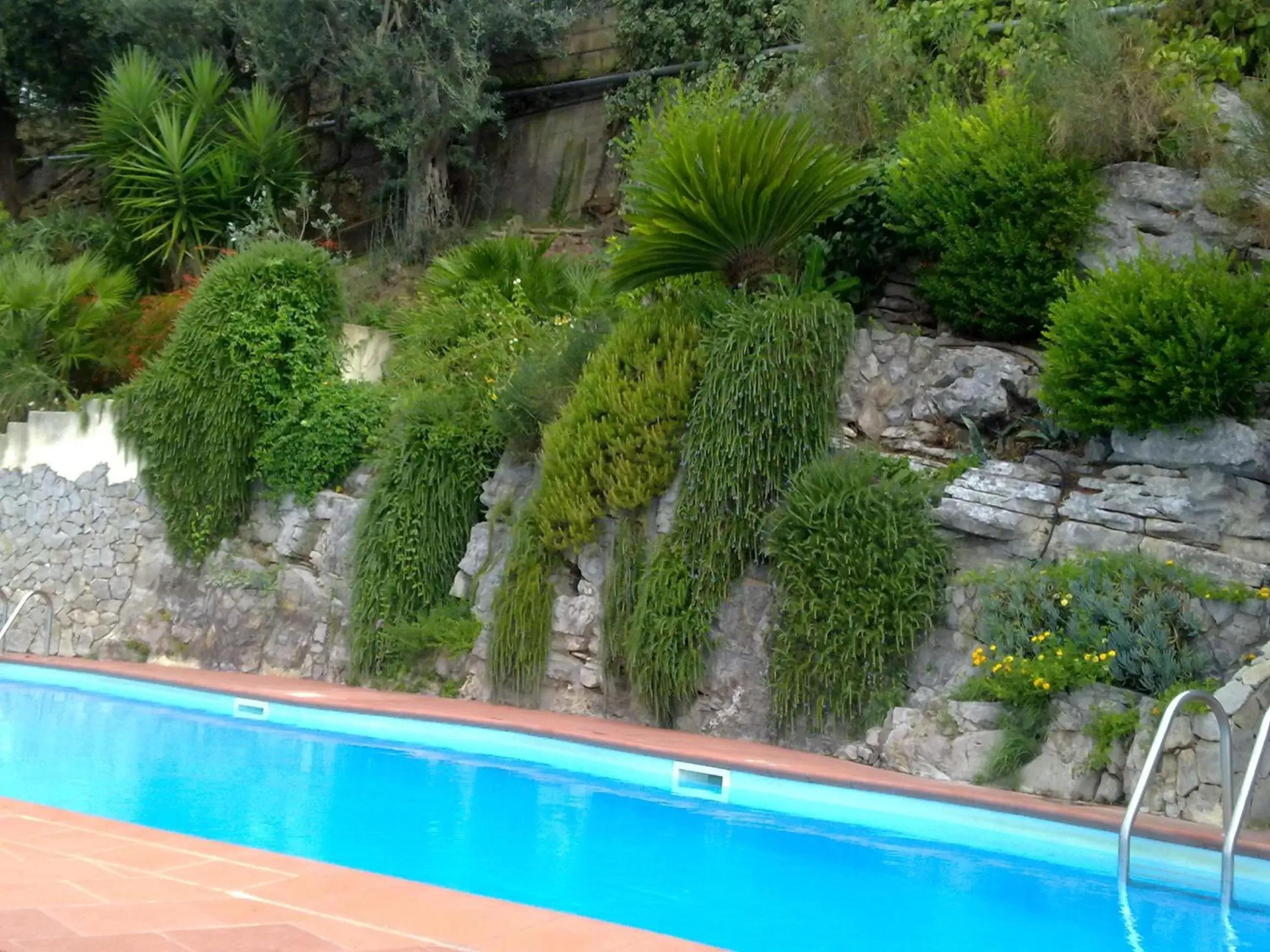 Swimming Pool in Hotel Cristina