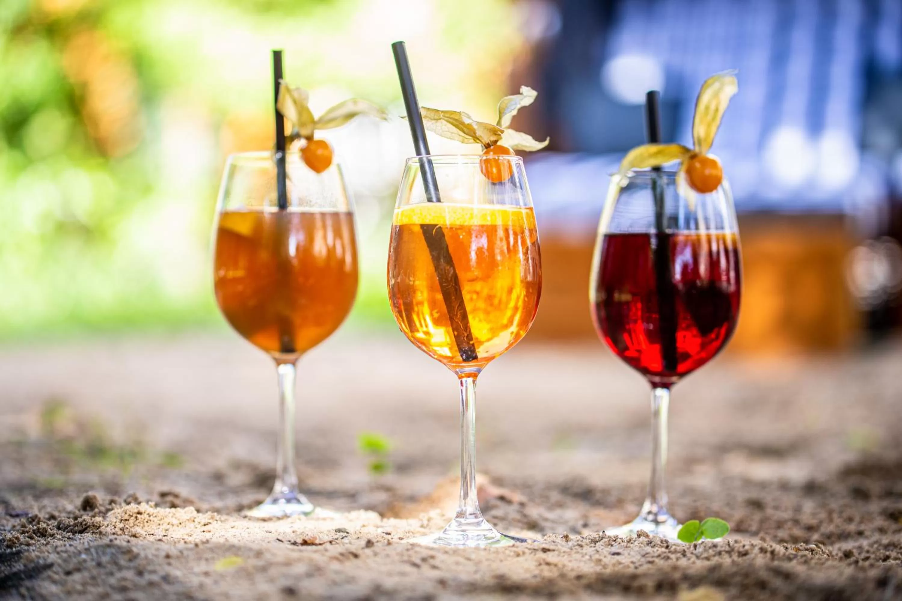 Lounge or bar in Hotel Lindenhof Bad Schandau