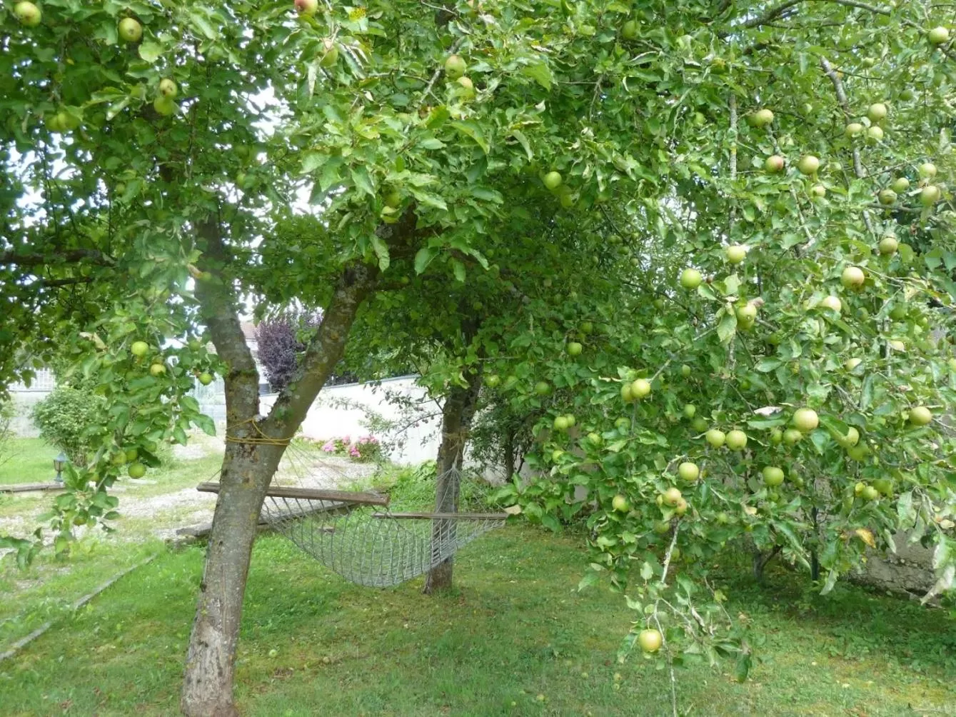 Property building in Maison Les Beaux Arts