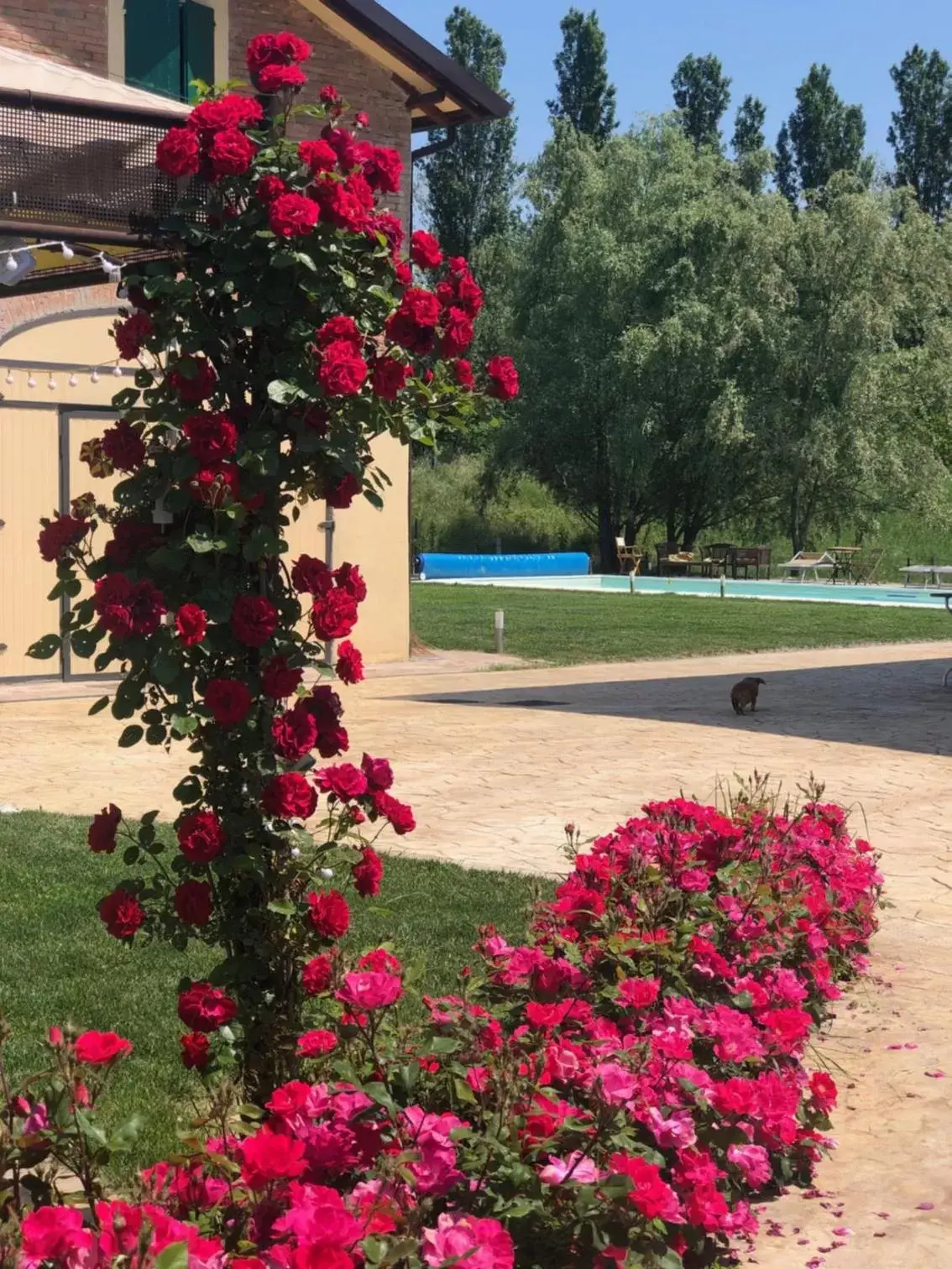 Swimming Pool in La Casa di Valeria - Modena