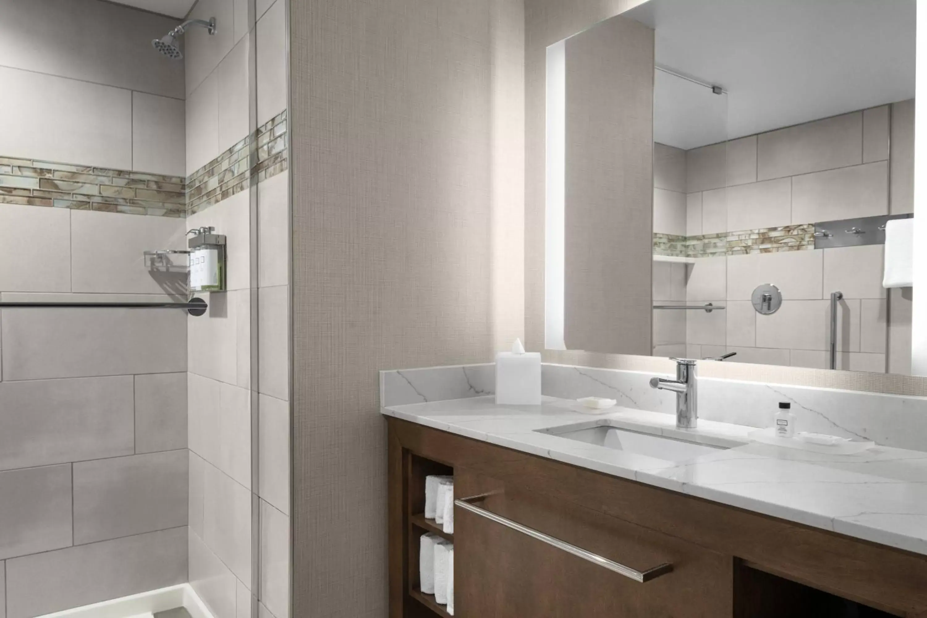 Bathroom in Residence Inn By Marriott Jacksonville-Mayo Clinic Area