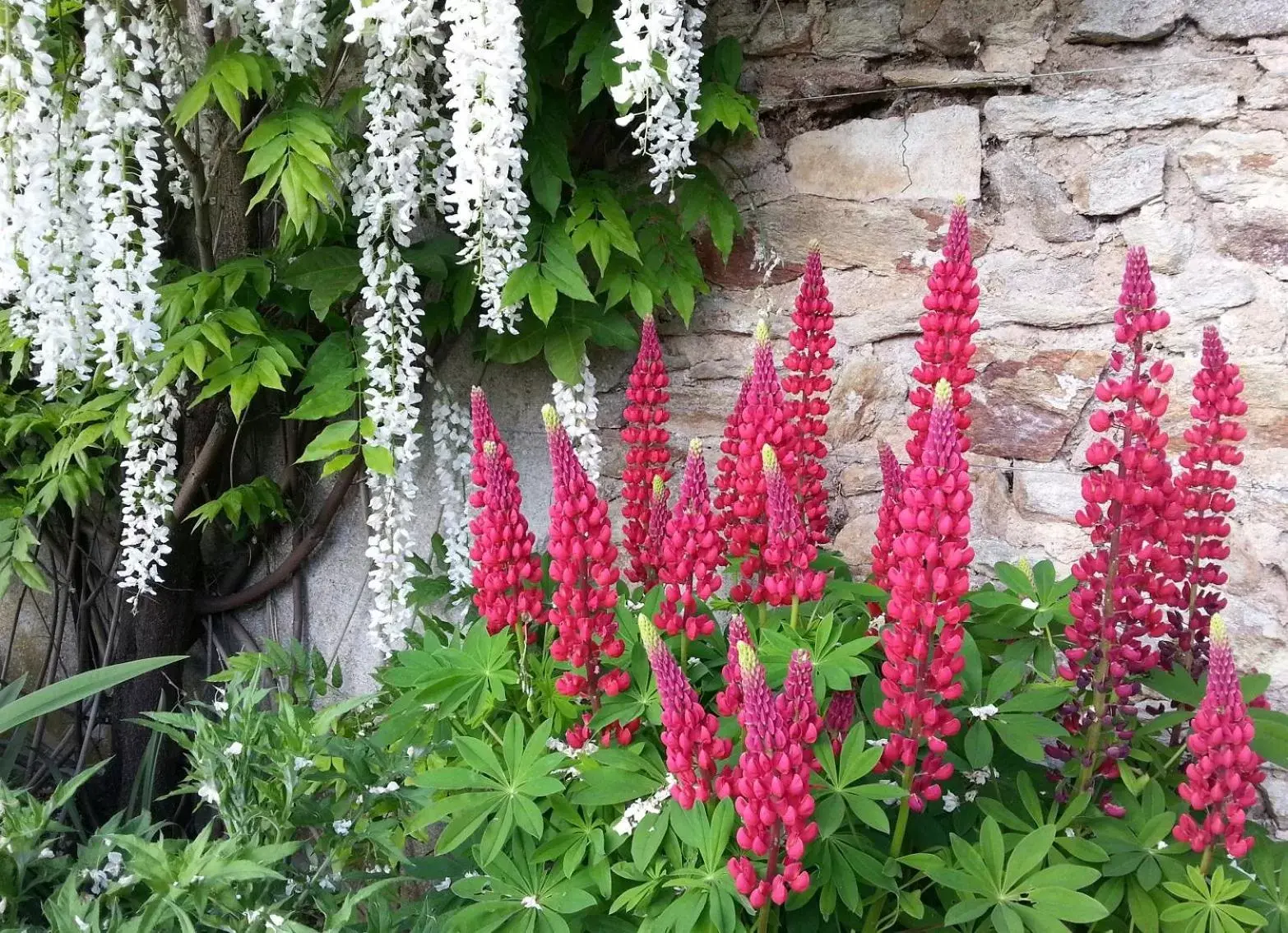 Spring in Moulin Renaudiots - Maison d'hôtes