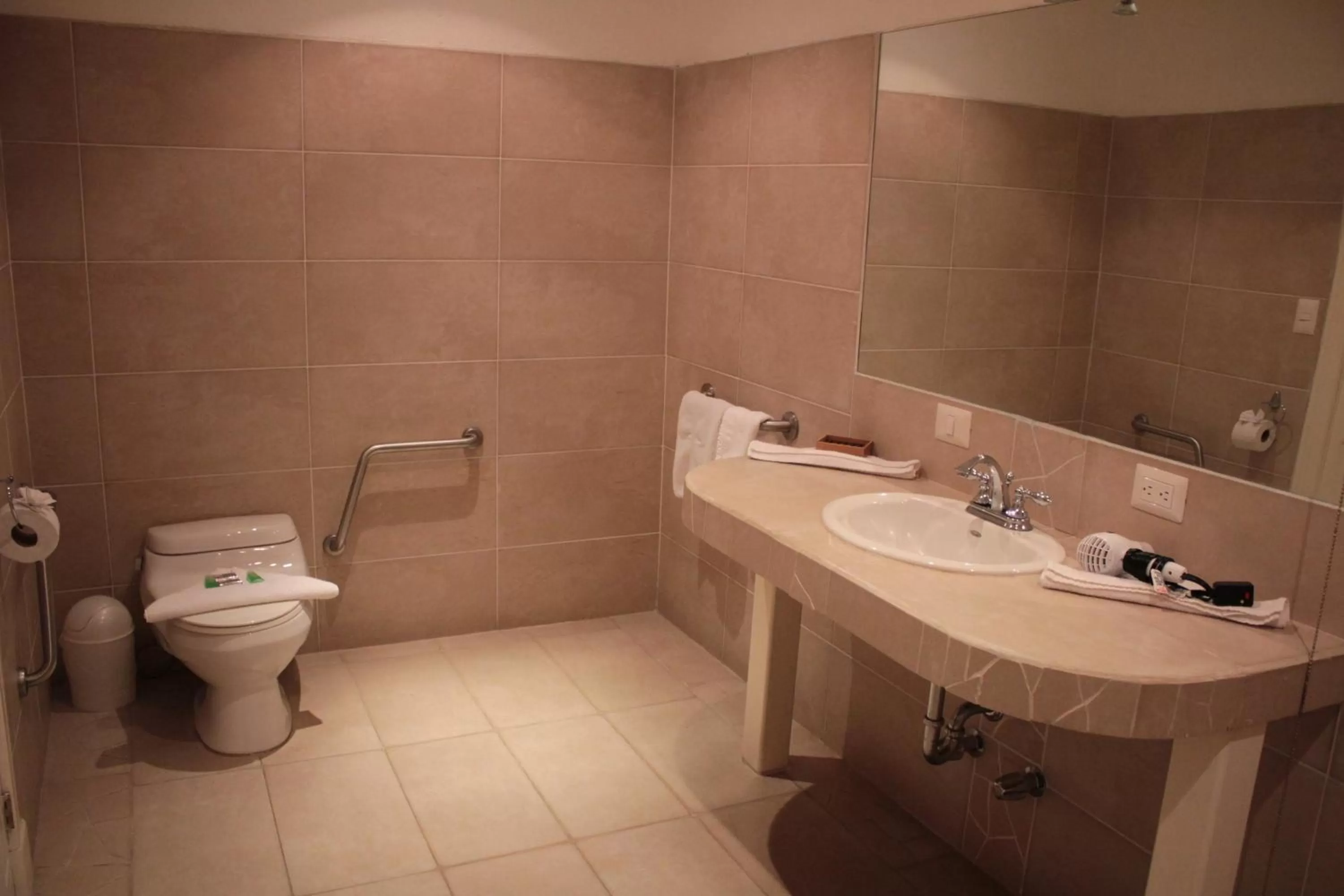 Toilet in Hotel Luisiana