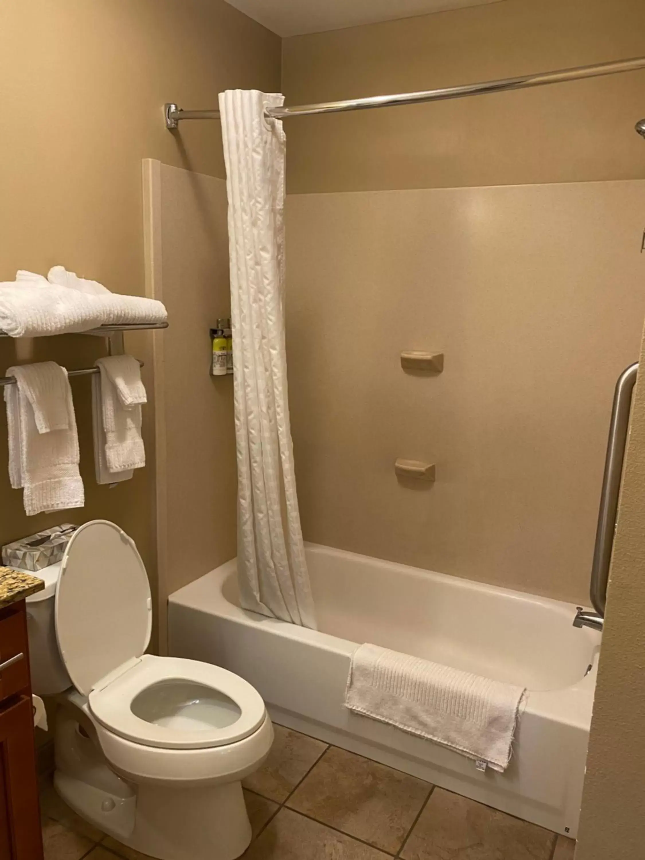 Bathroom in Candlewood Williamsport, an IHG Hotel