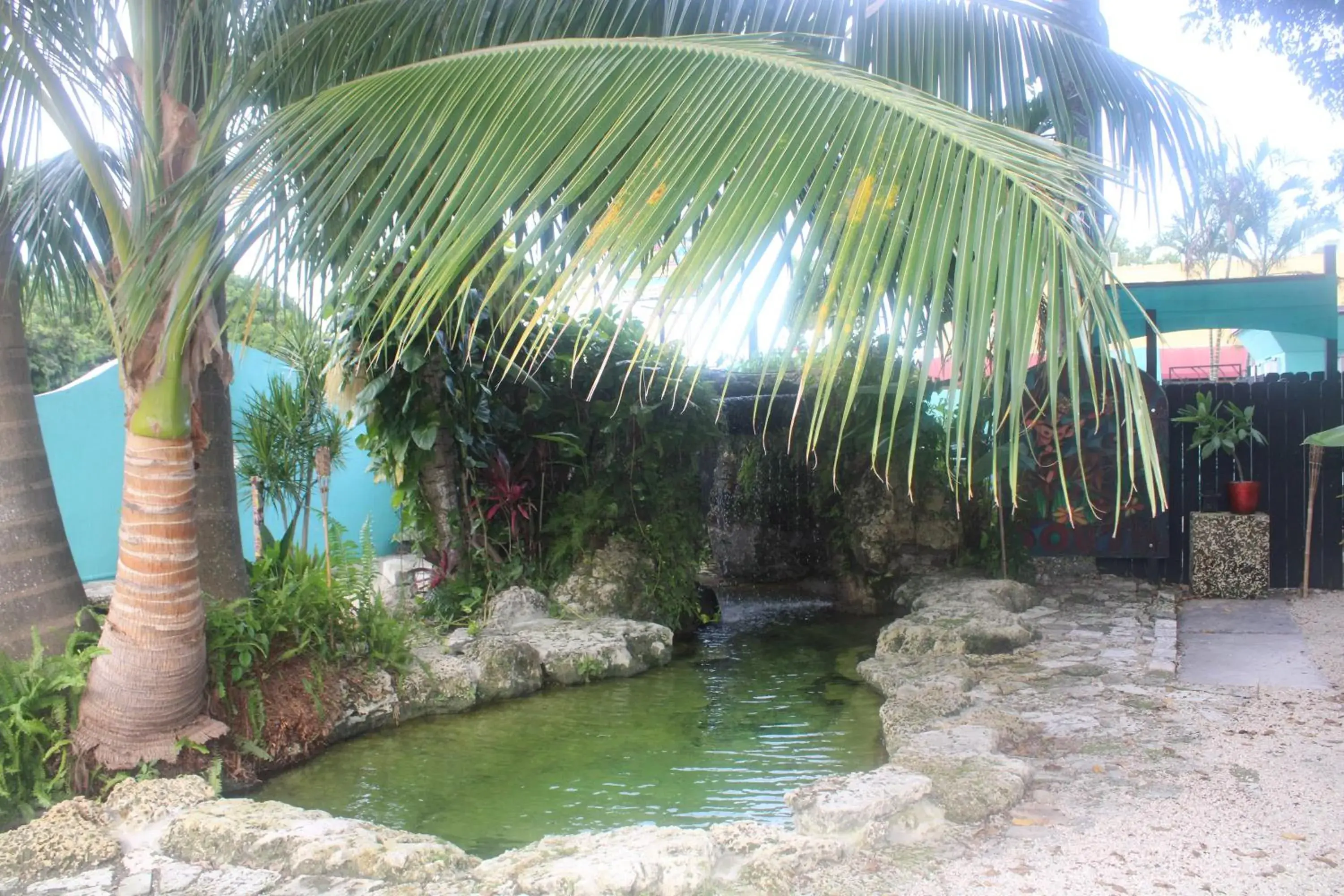 Swimming pool in Hoosville Hostel (Formerly The Everglades Hostel)