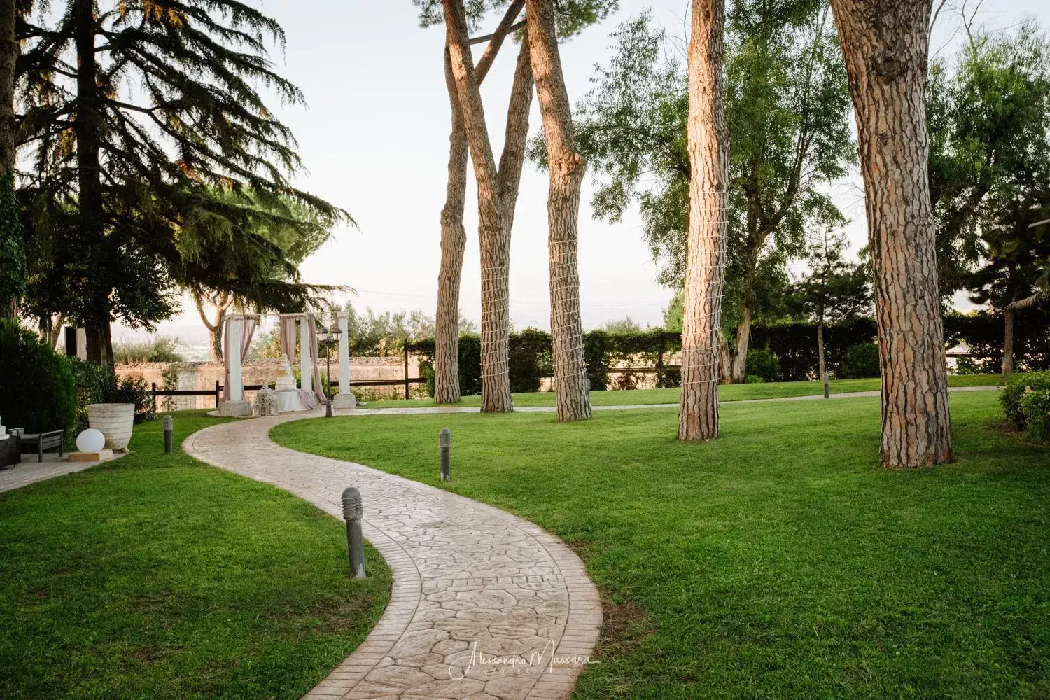 Garden in Domus Park Hotel